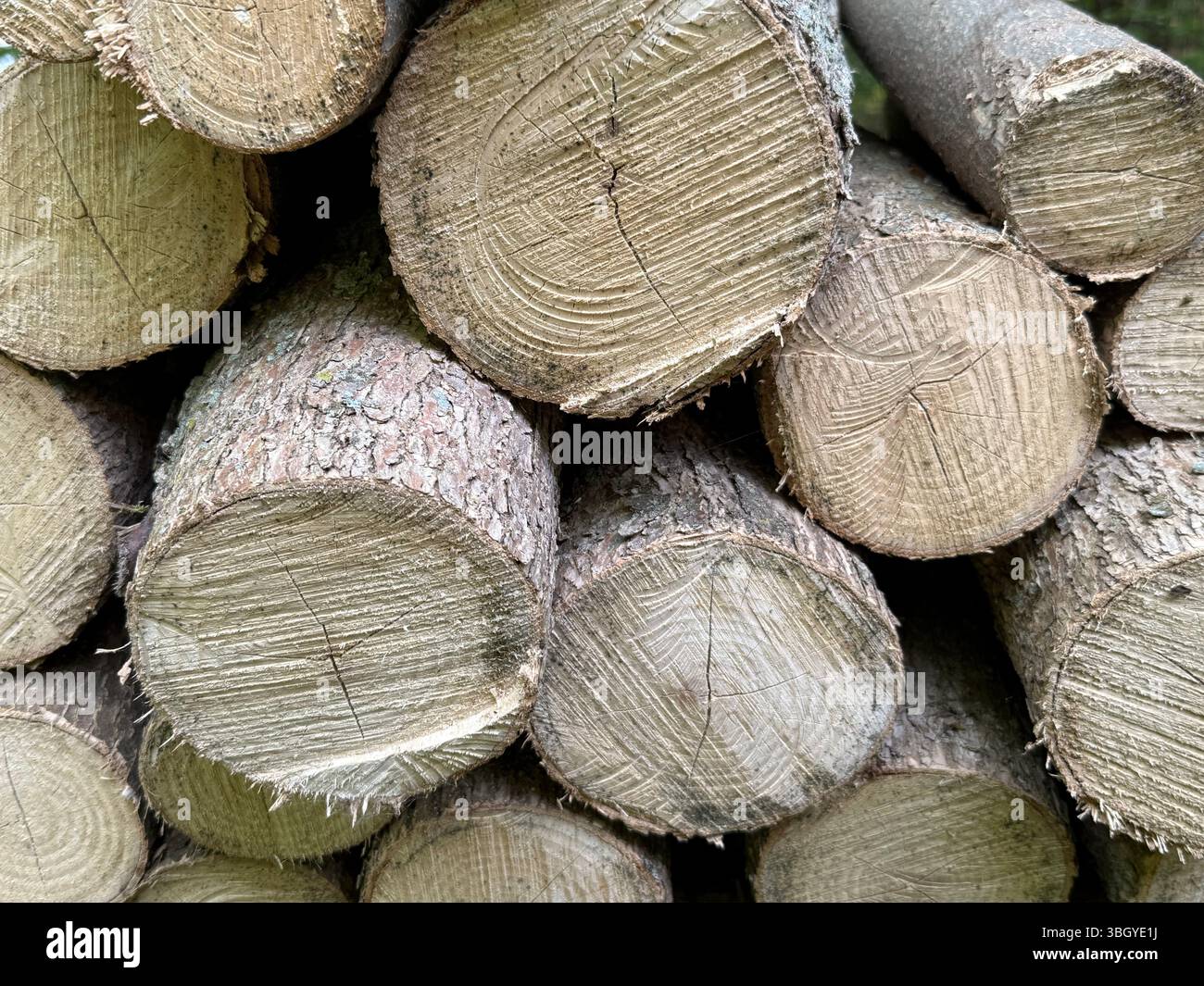 Neatly stacked logs arranged in a tidy pile, showcasing the rich textures of cut wood and bark. The image captures a rustic, prepared look - Smartphone Captured Stock Image