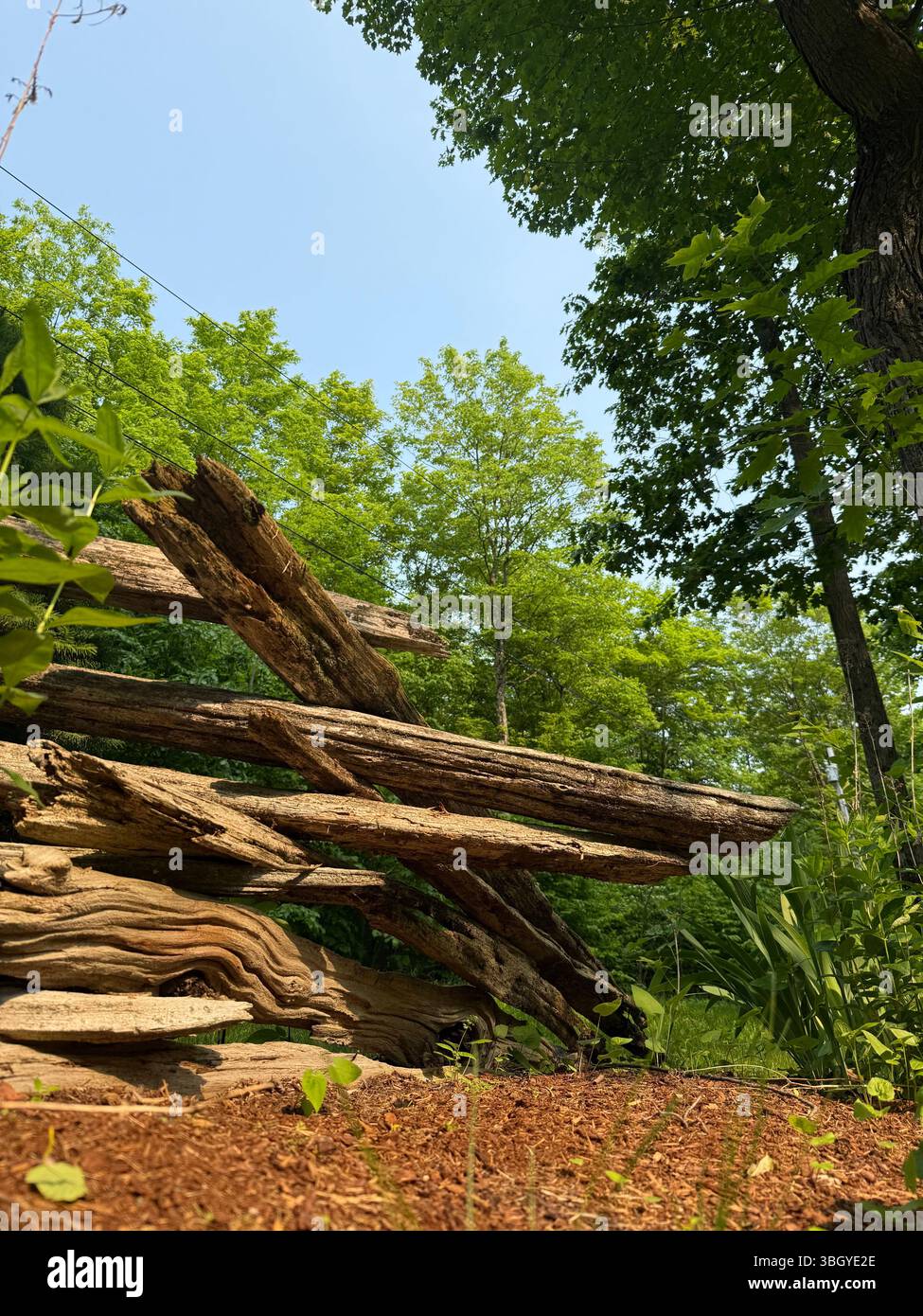 ustic wooden fence stretches across the foreground beneath a bright blue sky, with green trees rising in the background. - Smartphone Captured Stock Image