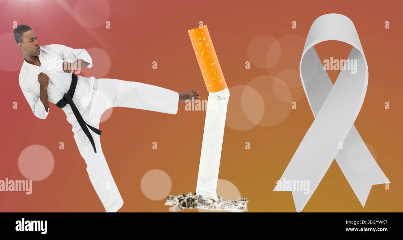 Manifestly Haraway, image size:1300x775