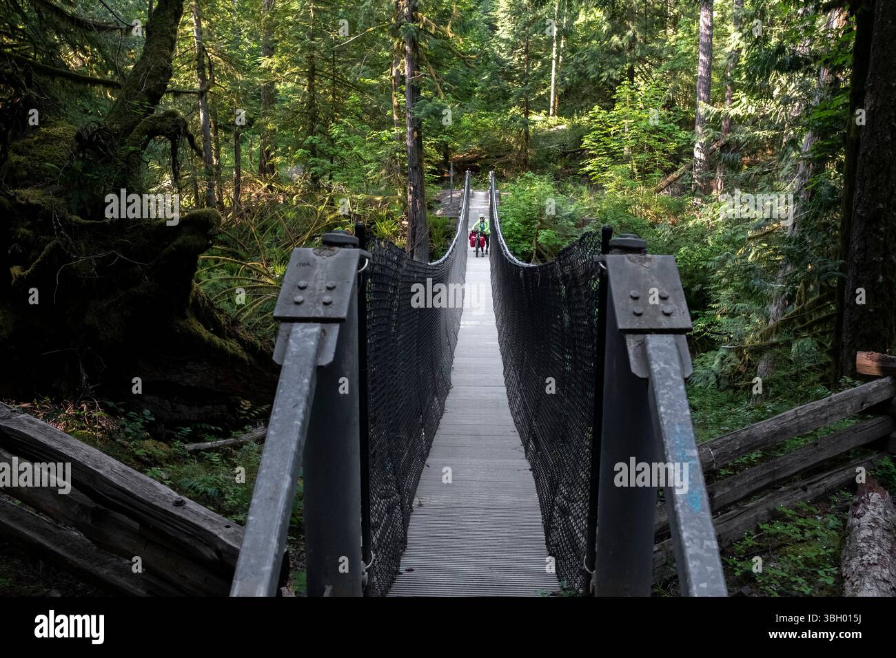 BC00903-00....British Columbia - Vicky Spring crossing the Goldstream Suspension Bridge in the Sook Hills Wilderness along the Great Northern Bike Pac Stock Photo