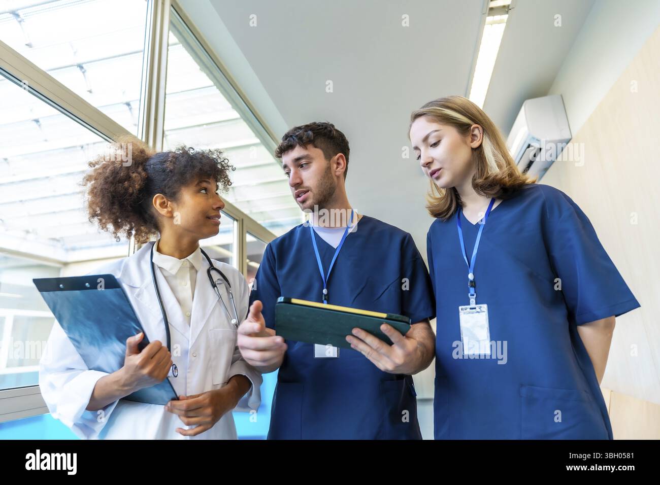 Doctors and nurses examining medical records and x rays, collaborating ...
