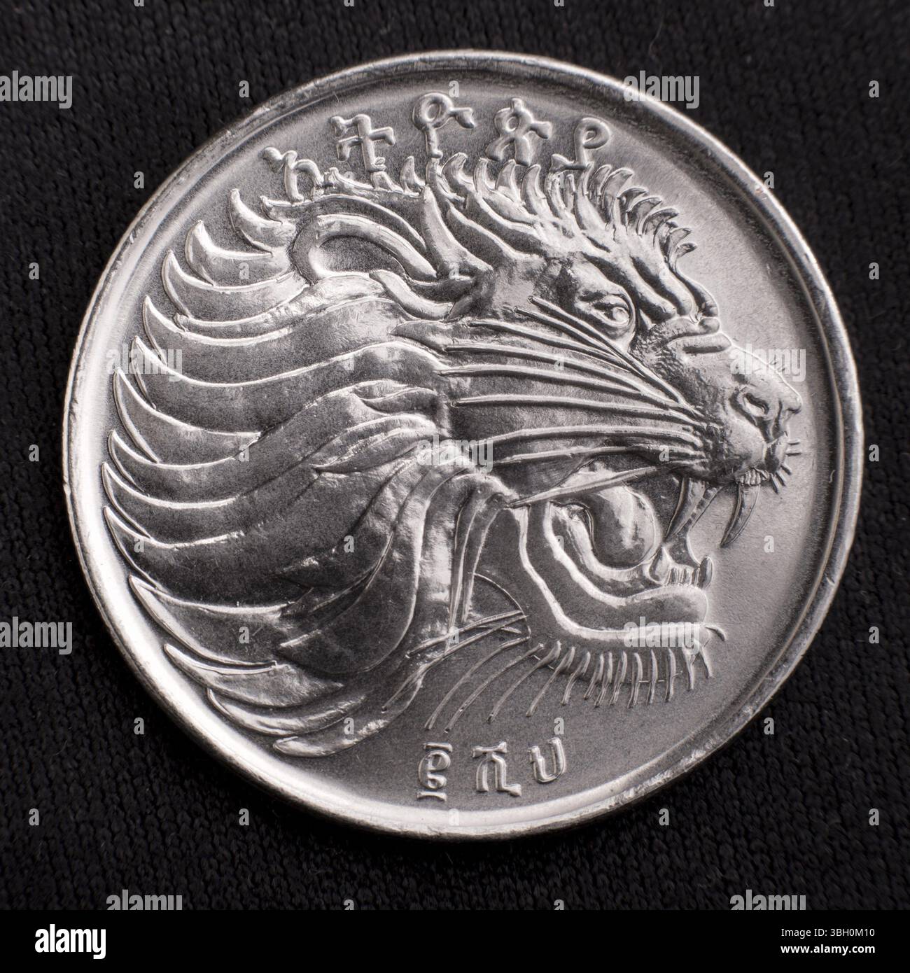 Ethiopian ethiopia lion coin hi-res stock photography and