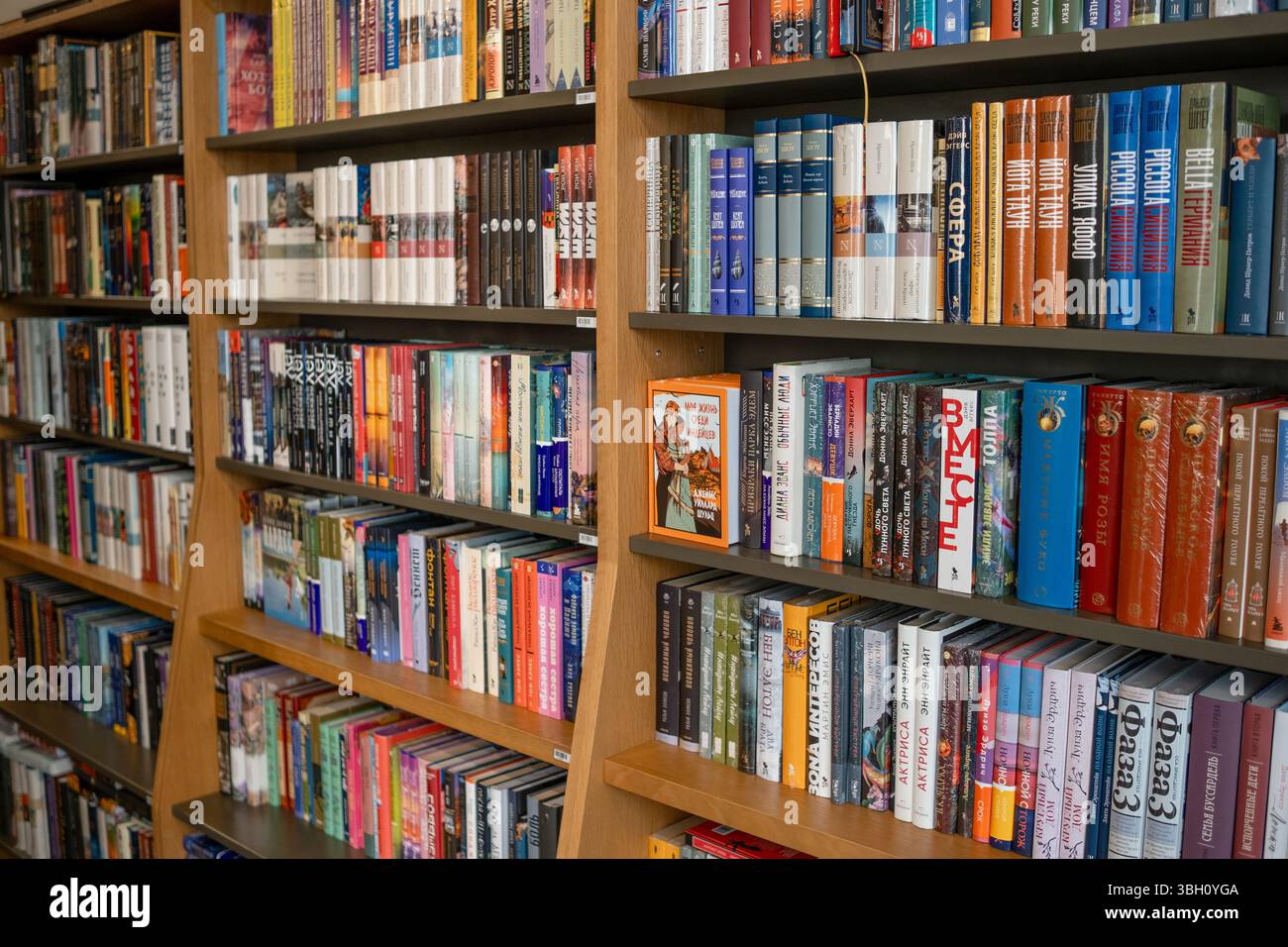 Colorful Book Collection Displayed on Wooden Shelves in a Cozy Library ...