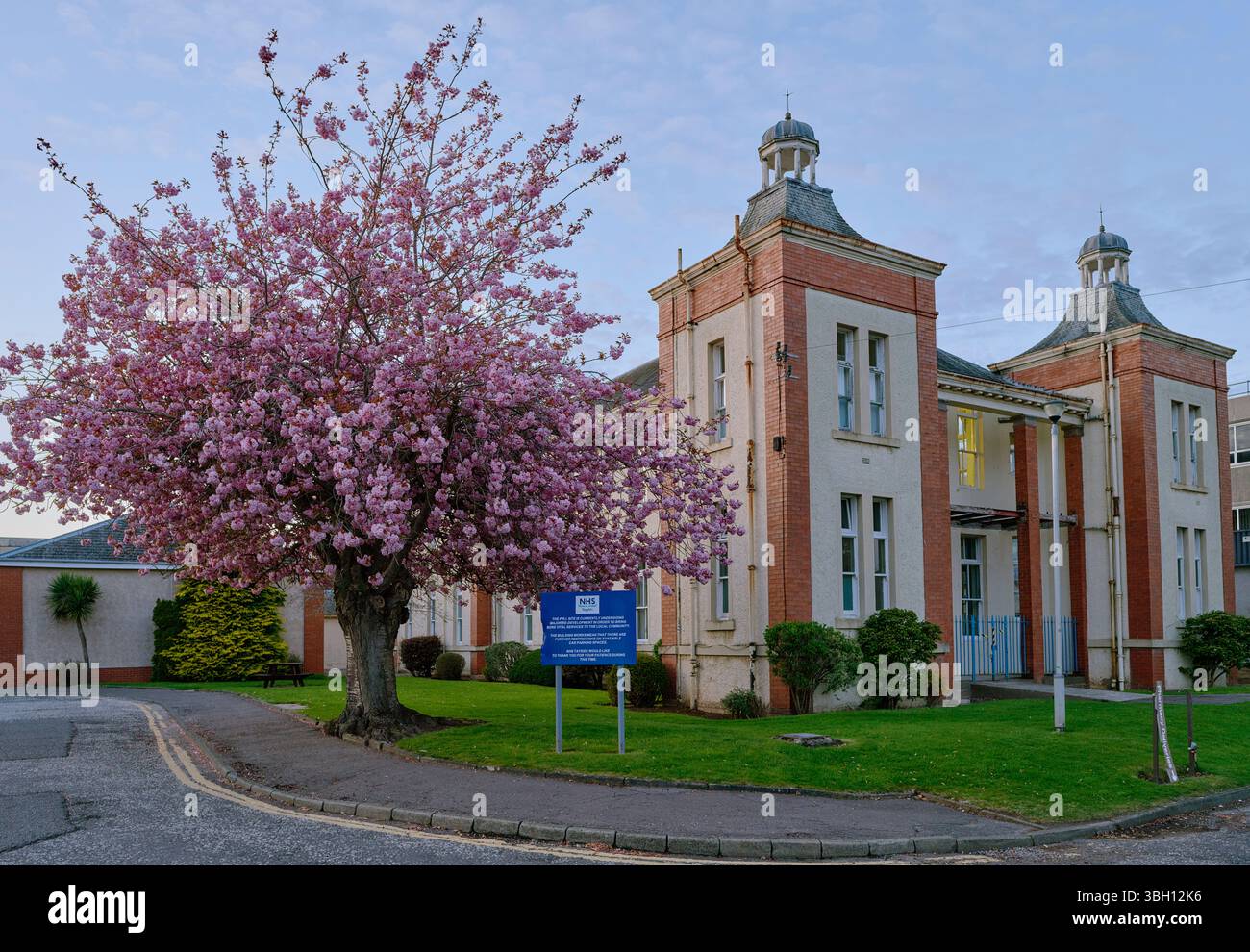 Spring Cherry Perth A mature cherry tree in full blossom is part of the landscaping of ...