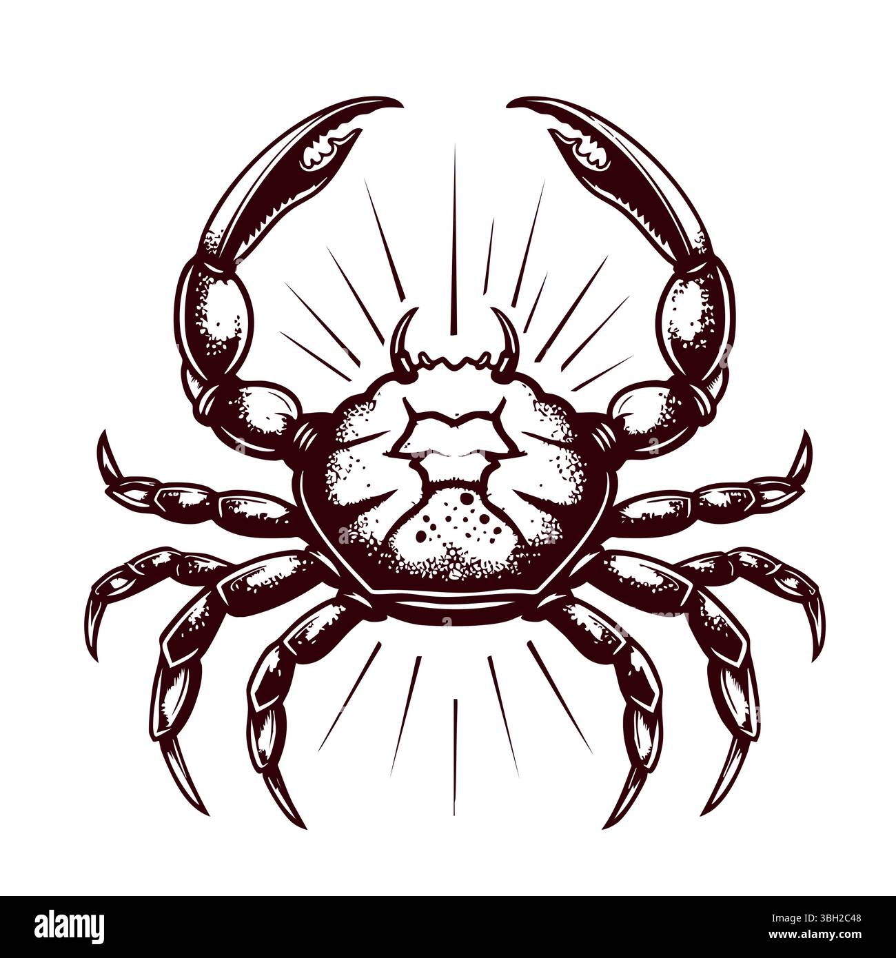 crab sketch vector illustration. Seafood vector Stock Vector