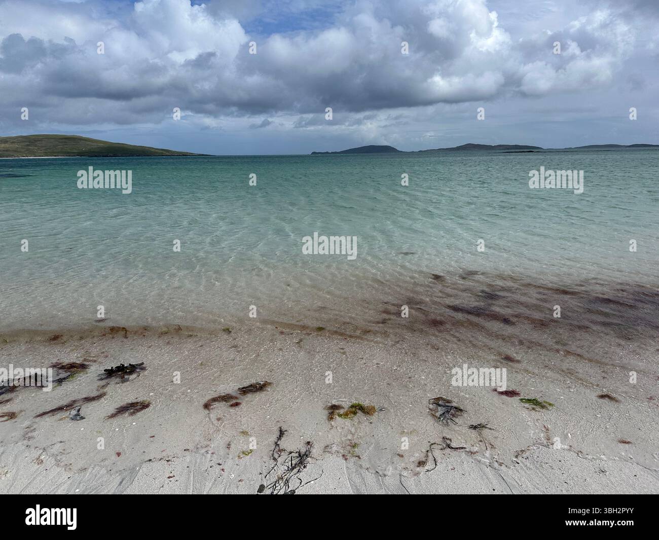 Seaweed on the beach, clear blue sea - Smartphone Captured Stock Image