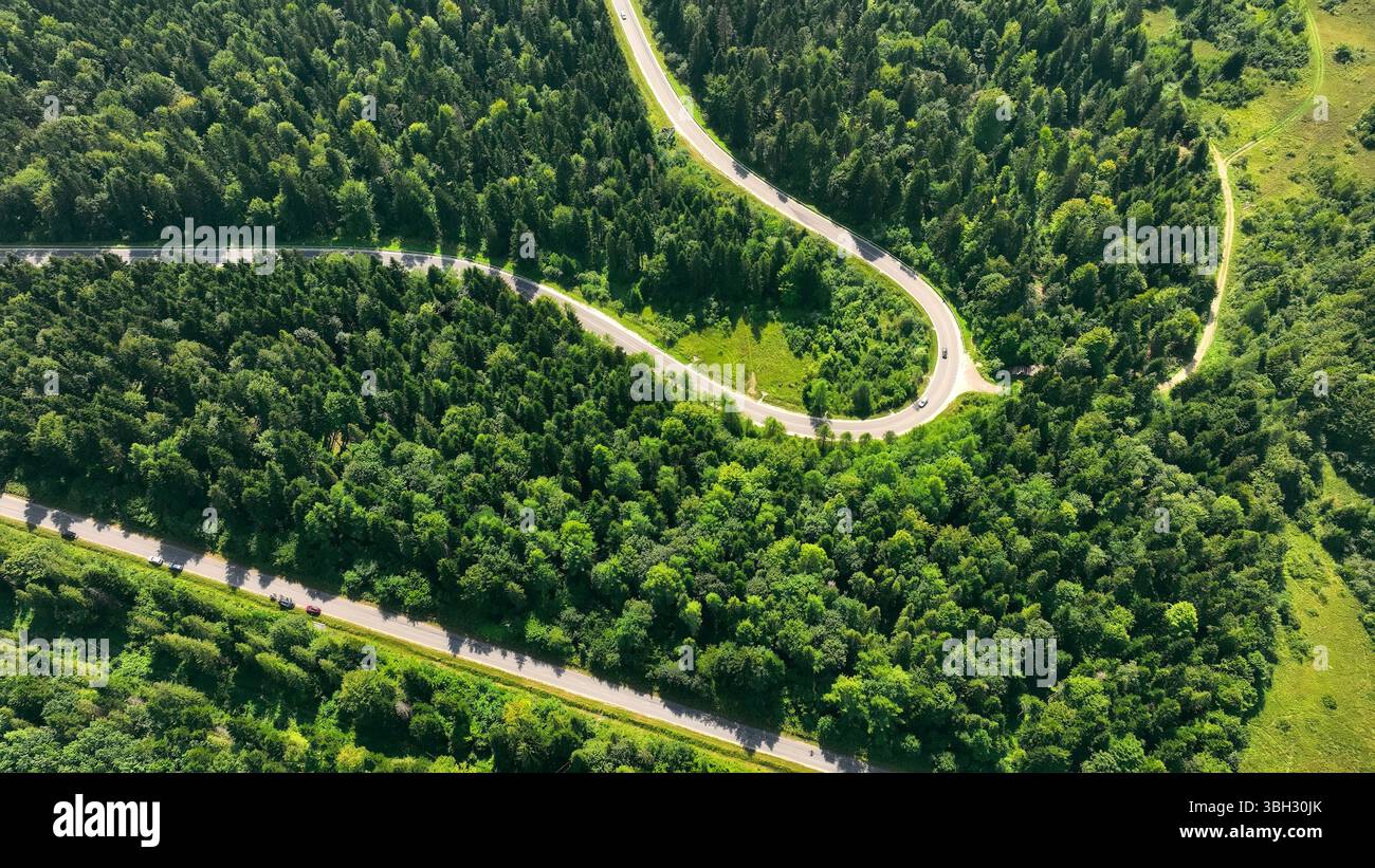 Aerial view of winding forest road through lush green landscape. A ...