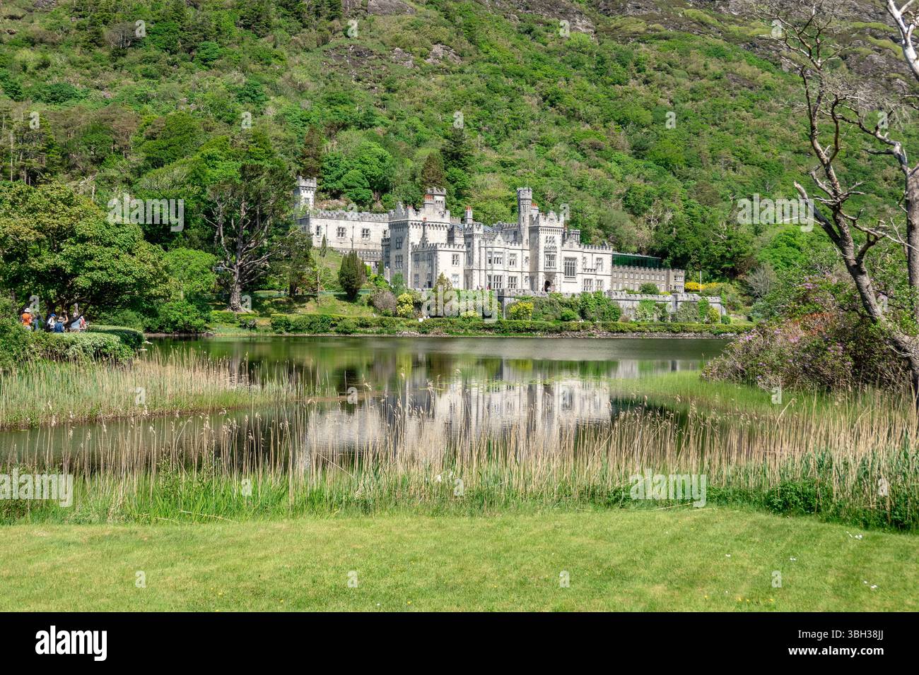 Kylemore Abbey In Connemara County Galway, Ireland, A Benedictine Monastery and Iconic Visitor Attraction, Stock Photo Stock Photo