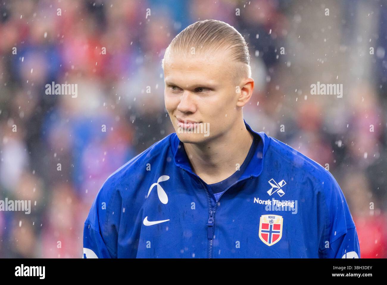 Erling haaland norway world hi-res stock photography and images - Alamy