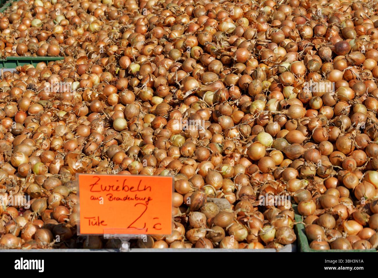 Spargelhof Klaistow, Erlebnisbauerhof, Potsdam-Mittelmark,Verkaufsstand, Gemüse, Zwiebeln, Frühling 2025, Brandenburg Stock Photo