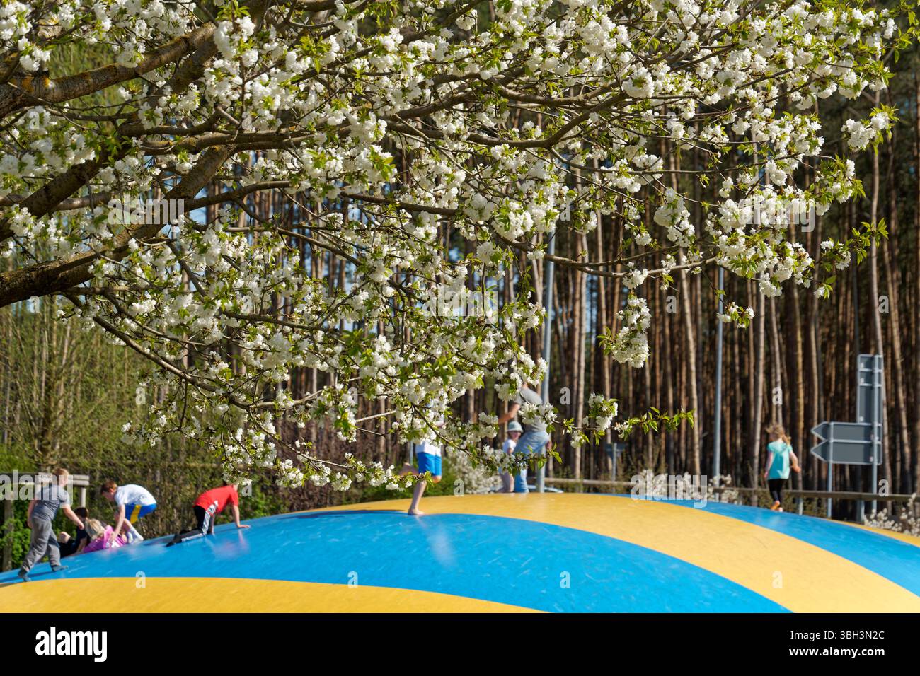 Spielplatz auf dem Spargelhof Klaistow, Erlebnisbauerhof, Hüpfburg, Frühling, Kirschblüte, neue Potsdam-Mittelmark, Brandenburg, Stock Photo