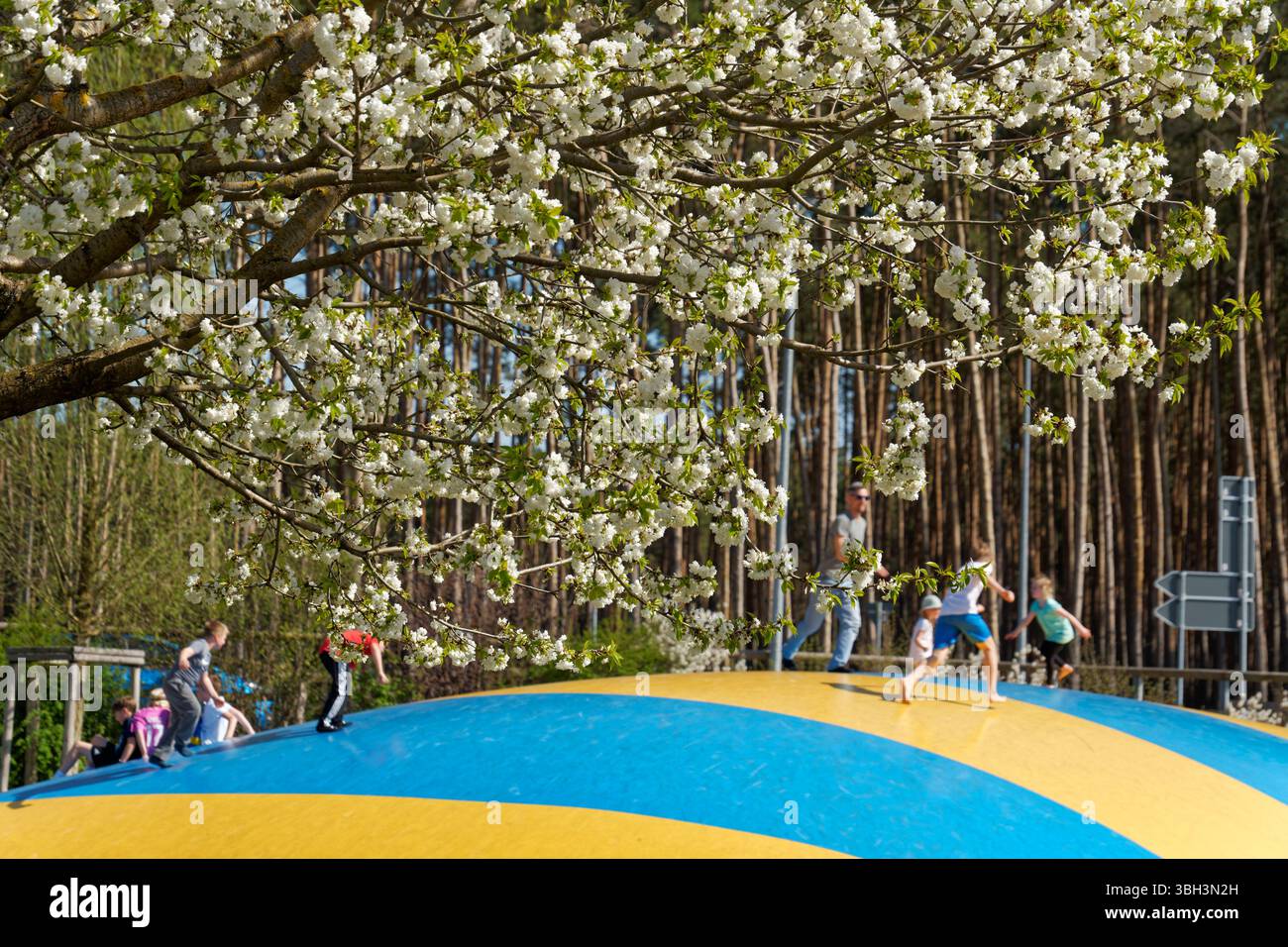 Spielplatz auf dem Spargelhof Klaistow, Erlebnisbauerhof, Hüpfburg, Frühling, Kirschblüte, neue Potsdam-Mittelmark, Brandenburg, Stock Photo