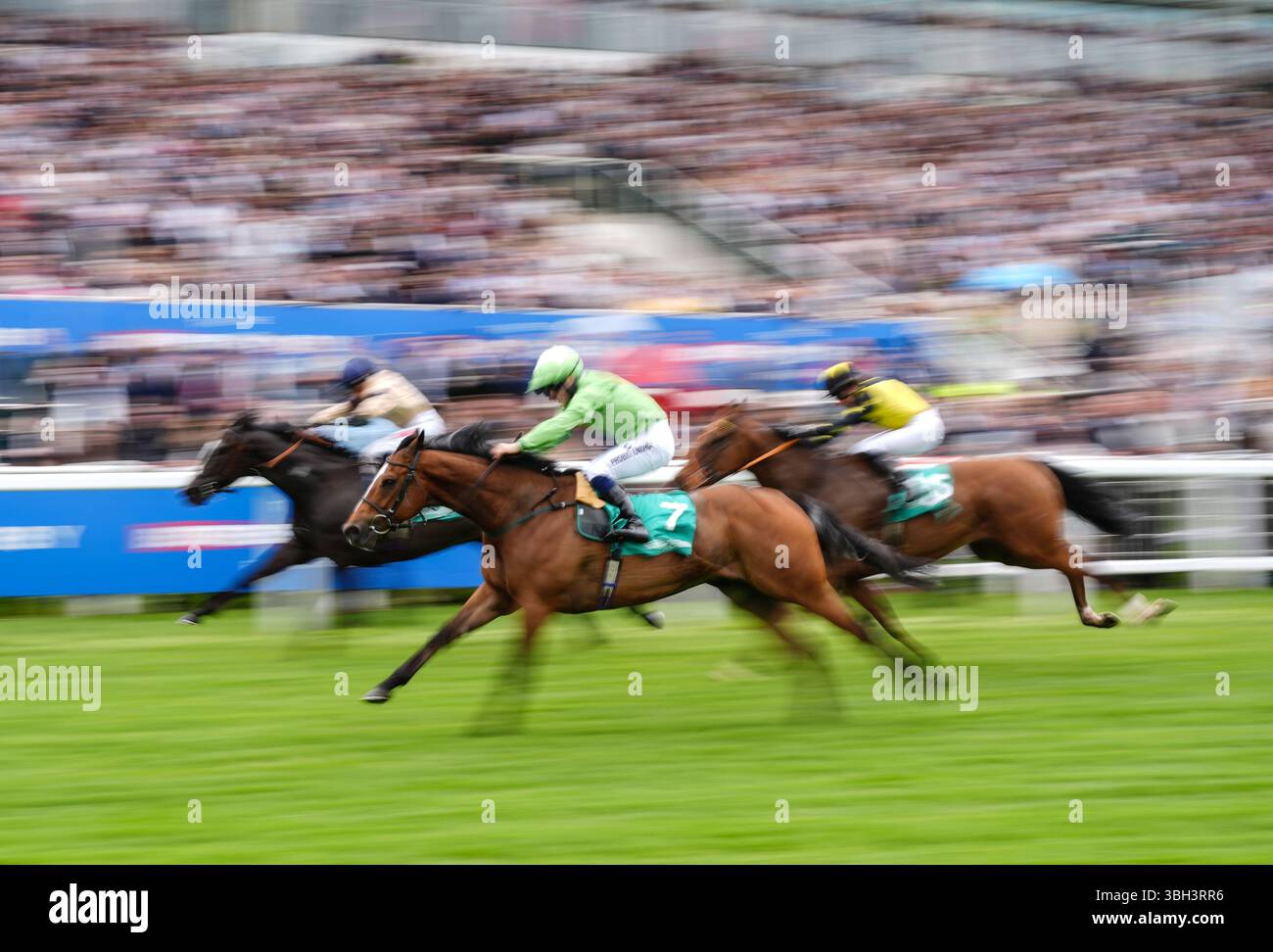 Horse racing jm jungle hi-res stock photography and images - Alamy