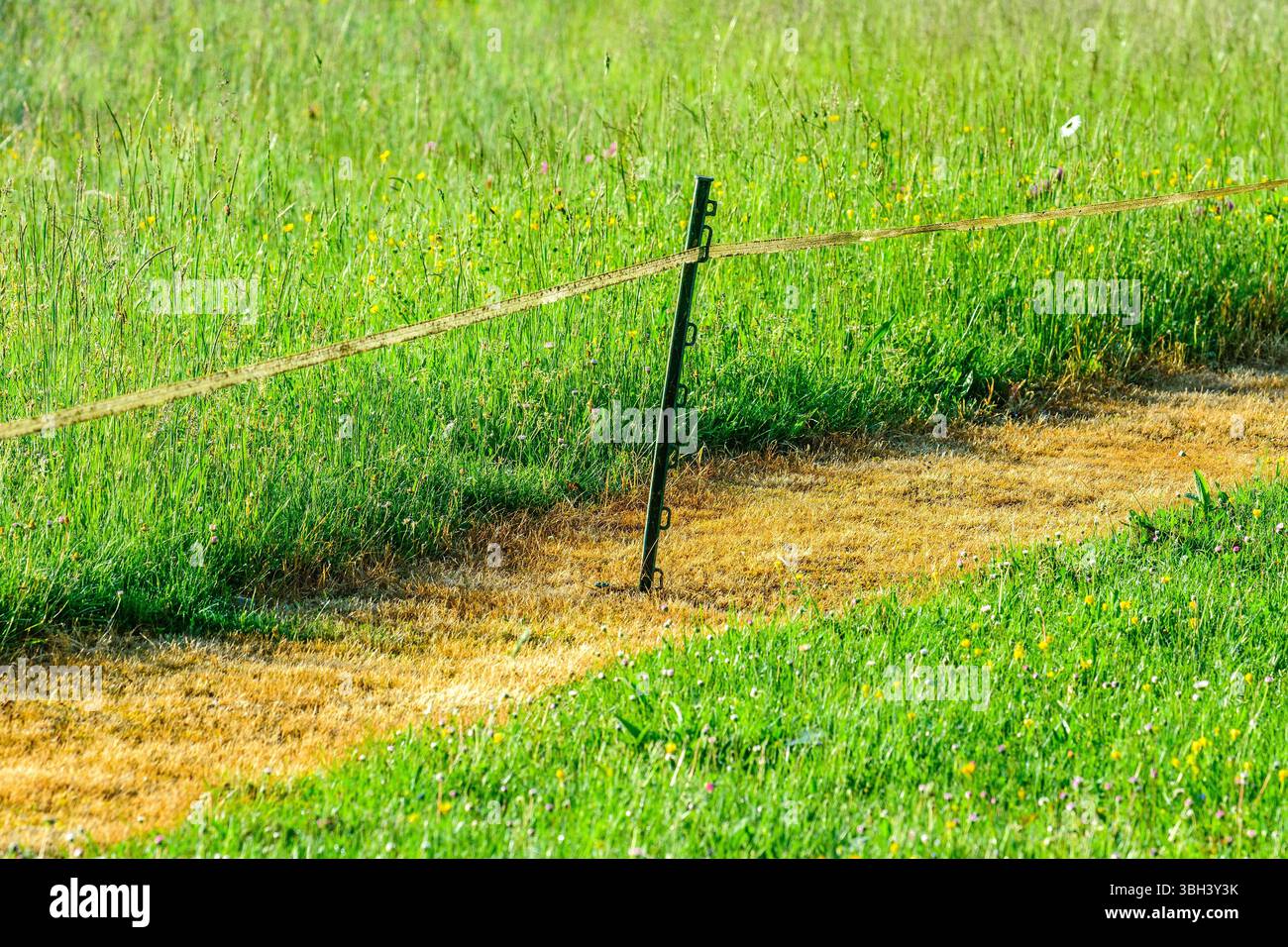 Roundup herbicide used to indicate division in fence line in grazing areas  - central France Stock Photo - Alamy