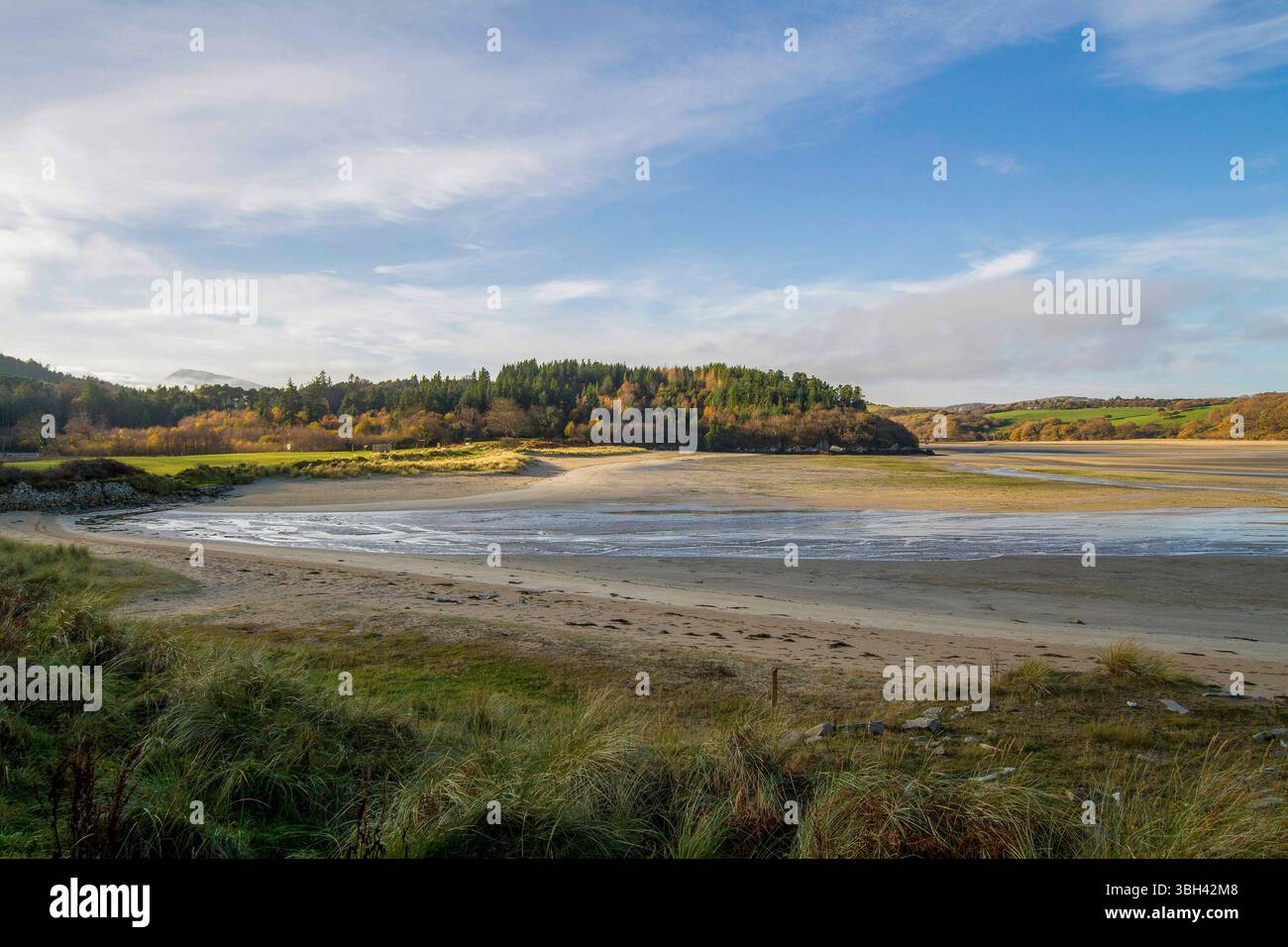 Coastal forest county donegal hi-res stock photography and images - Alamy