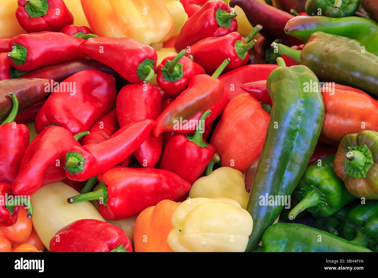 Chiles on sale at Sunday market, Ljubjana, Slovenia Stock Photo