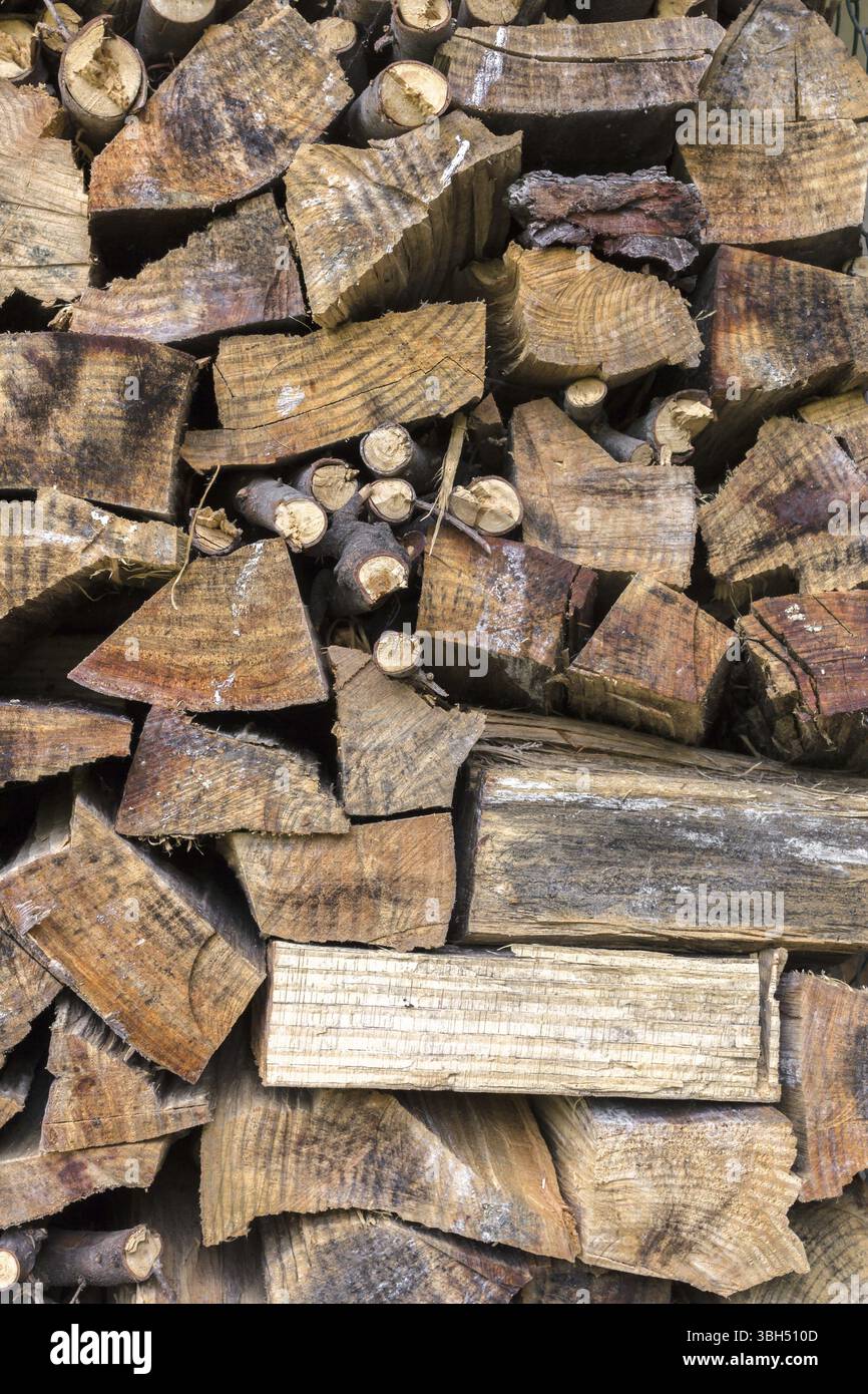Spare Tree Spare that tree hi-res stock photography and images - Alamy