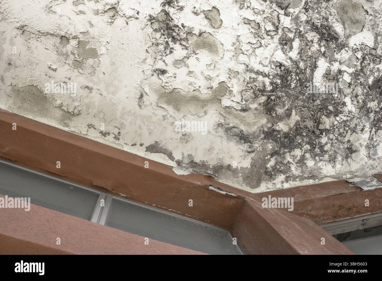Effects of damp on plaster, damaged wall texture Stock Photo