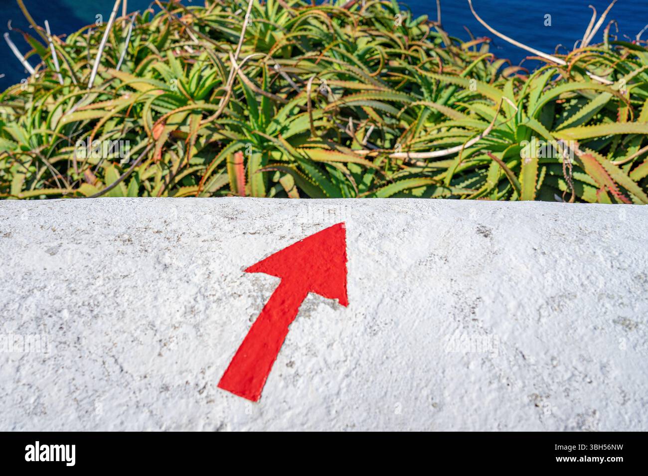 White wall with red arrow and vegetation at the top of the image Stock ...