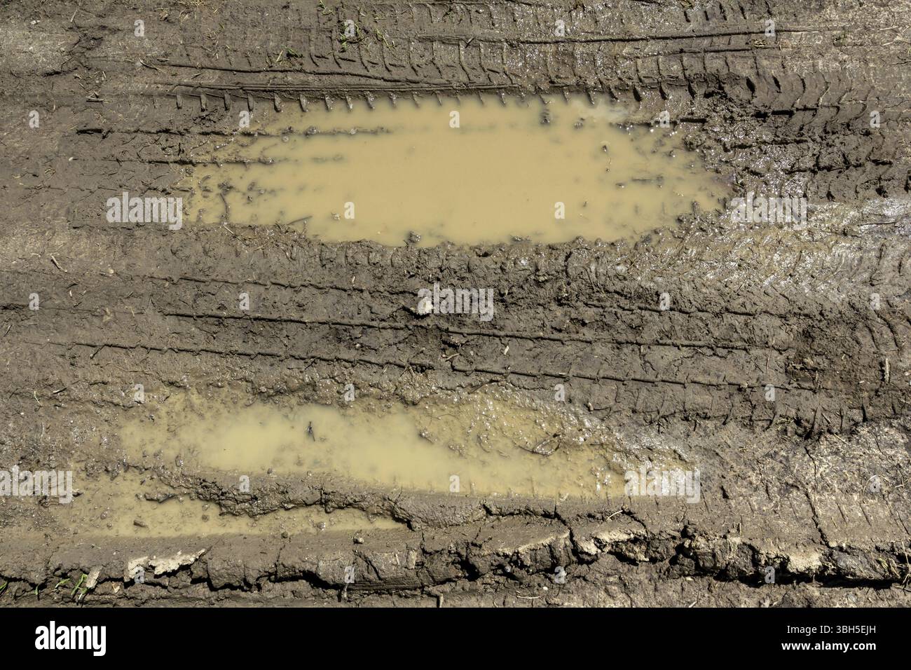Texture of mud. Wet dirt. Puddle Stock Photo - Alamy