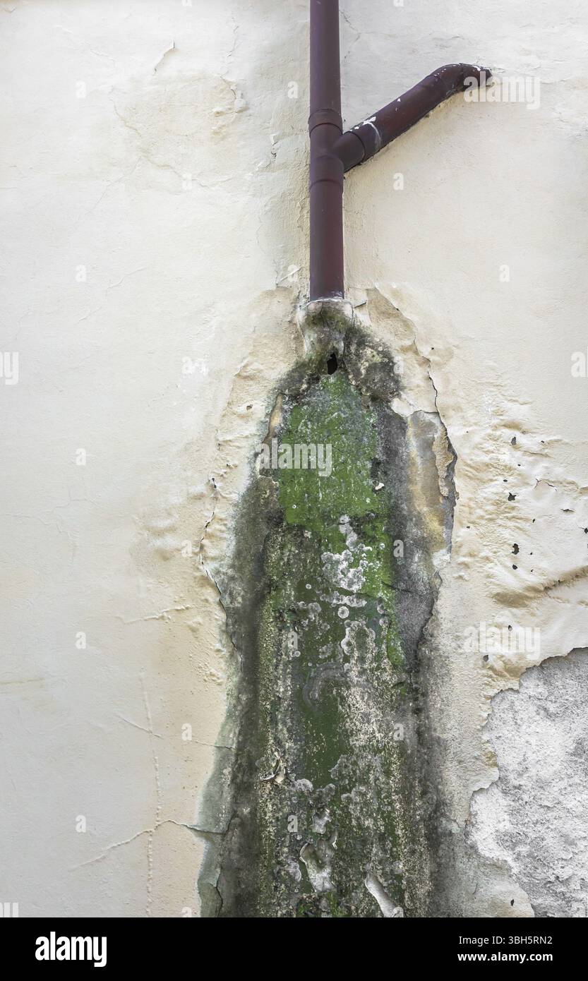 Rain water on the wall causing mold and peeling paint Stock Photo