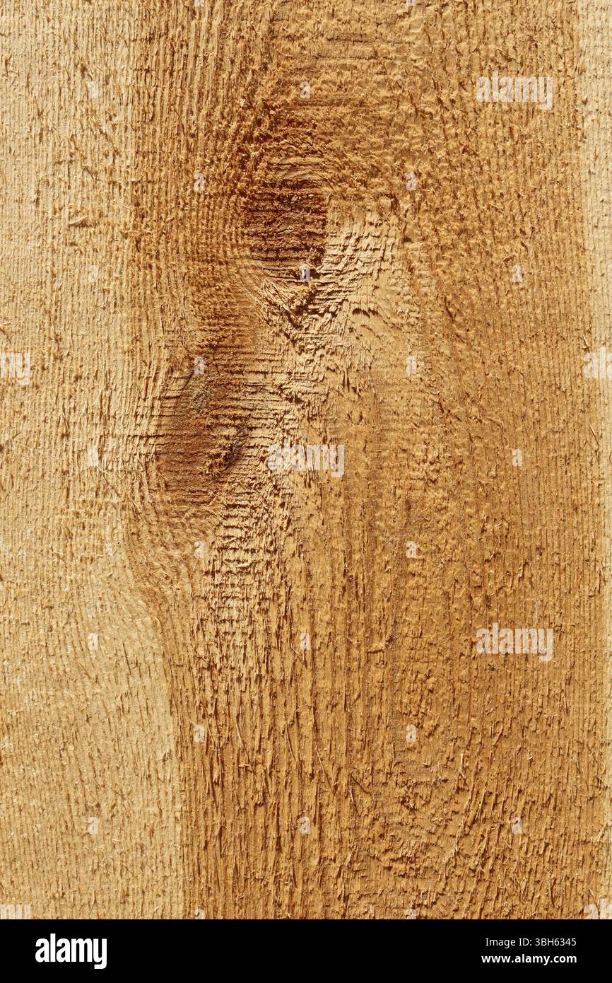 Detailed coarse macrostructure of longitudinal section of wooden board with annual rings Stock Photo