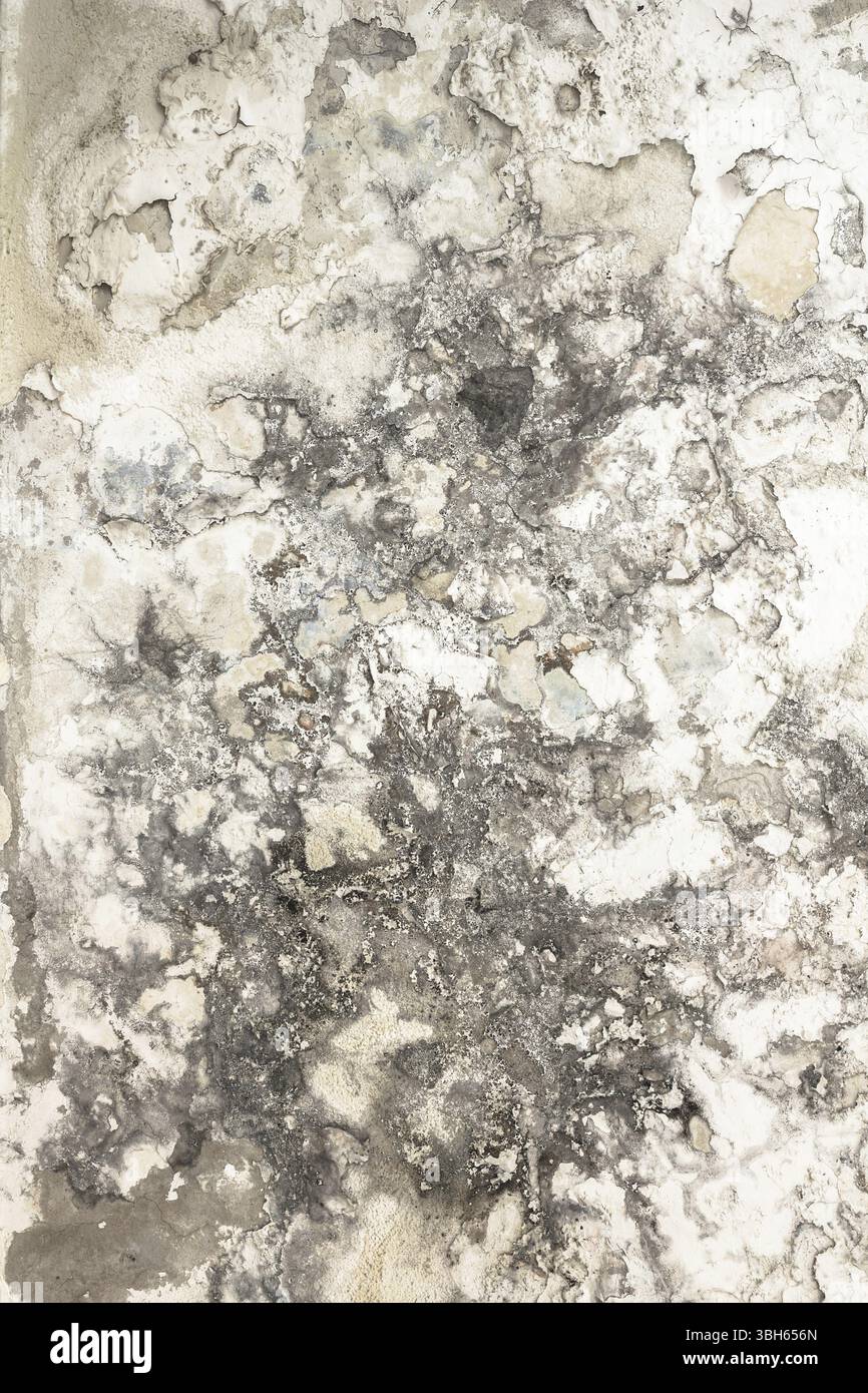 Effects of damp on plaster, damaged wall texture Stock Photo