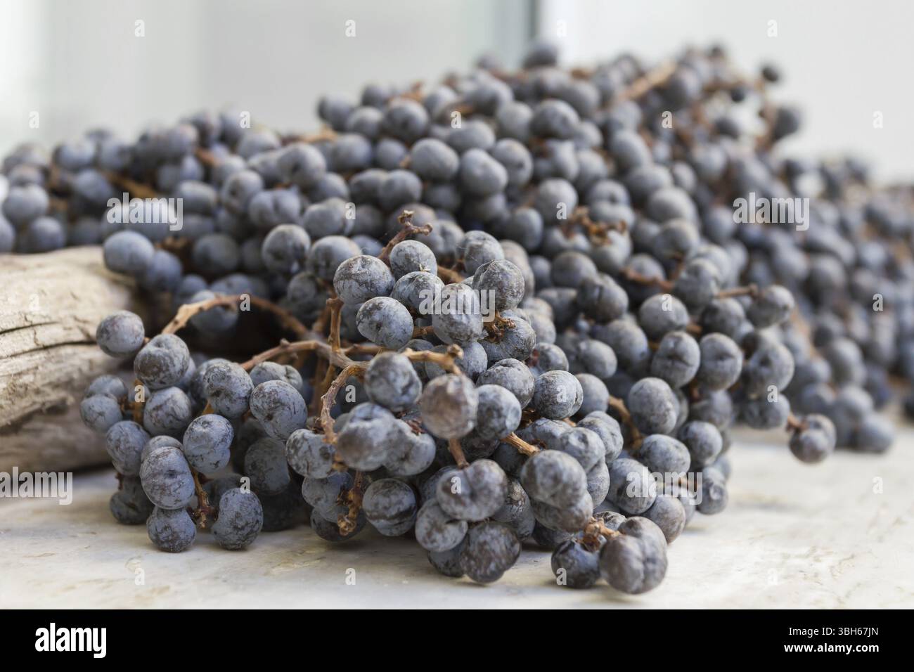 Extreme closeup of dry blueberries. Shallow depth of field Stock Photo