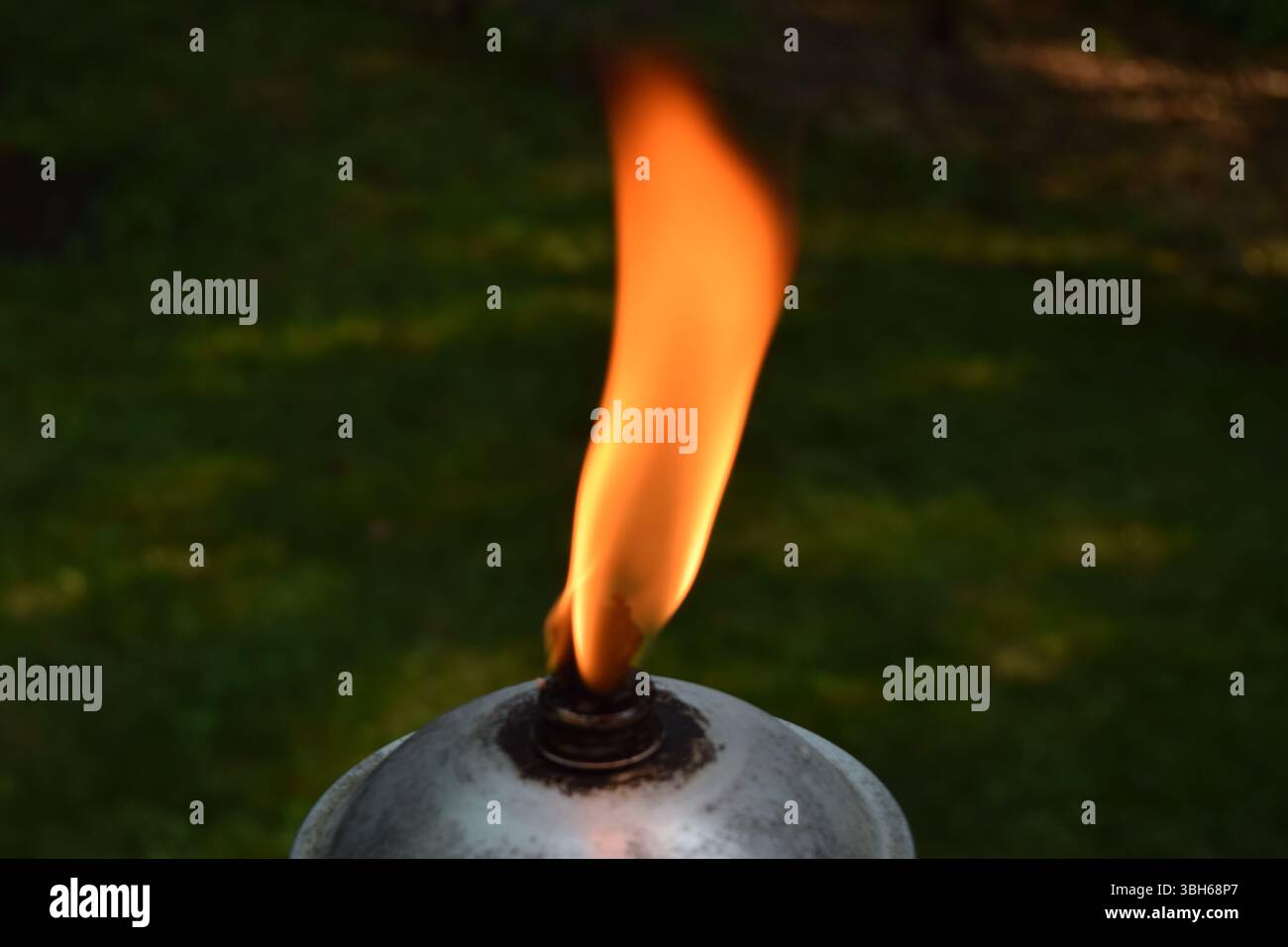 A close-up of a tiki torch flame flickering in the twilight, casting a ...