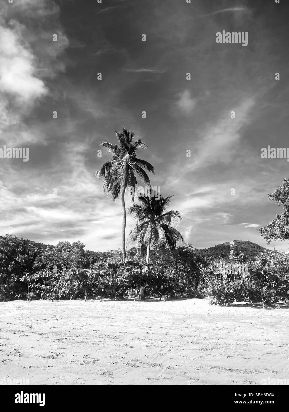 Caribbean lifestyles Black and White Stock Photos & Images - Alamy