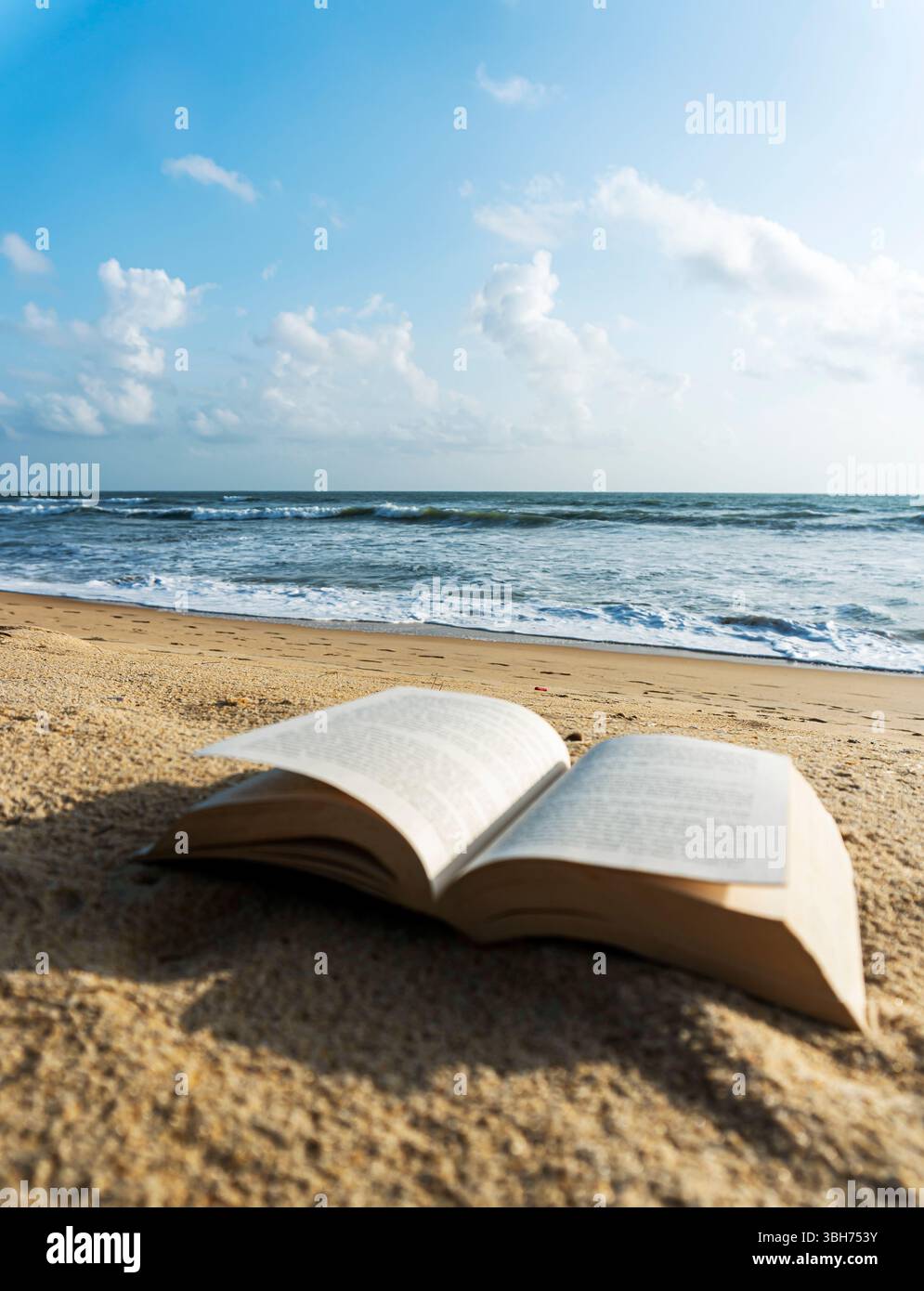 open book on the beach landscape Stock Photo