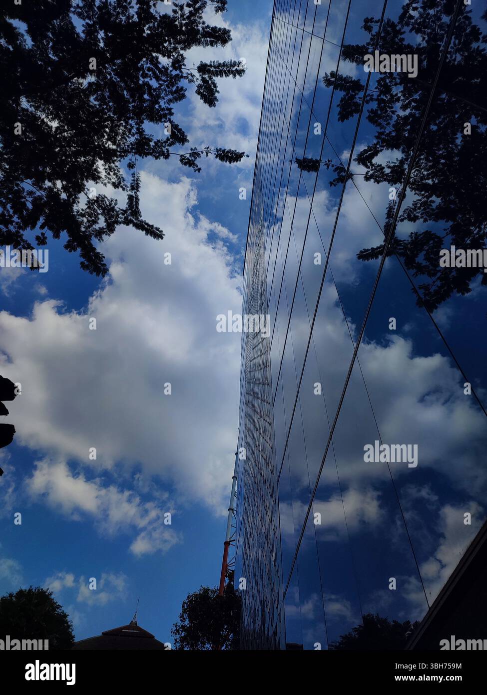 Modern glass building reflecting dramatic sky with clouds and tree silhouettes, urban architectural photography. - Smartphone Captured Stock Image