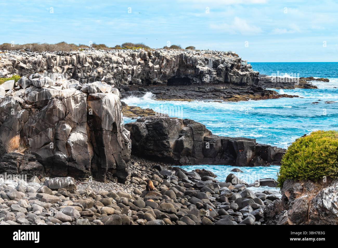 Galapagos island national park hi-res stock photography and images - Alamy