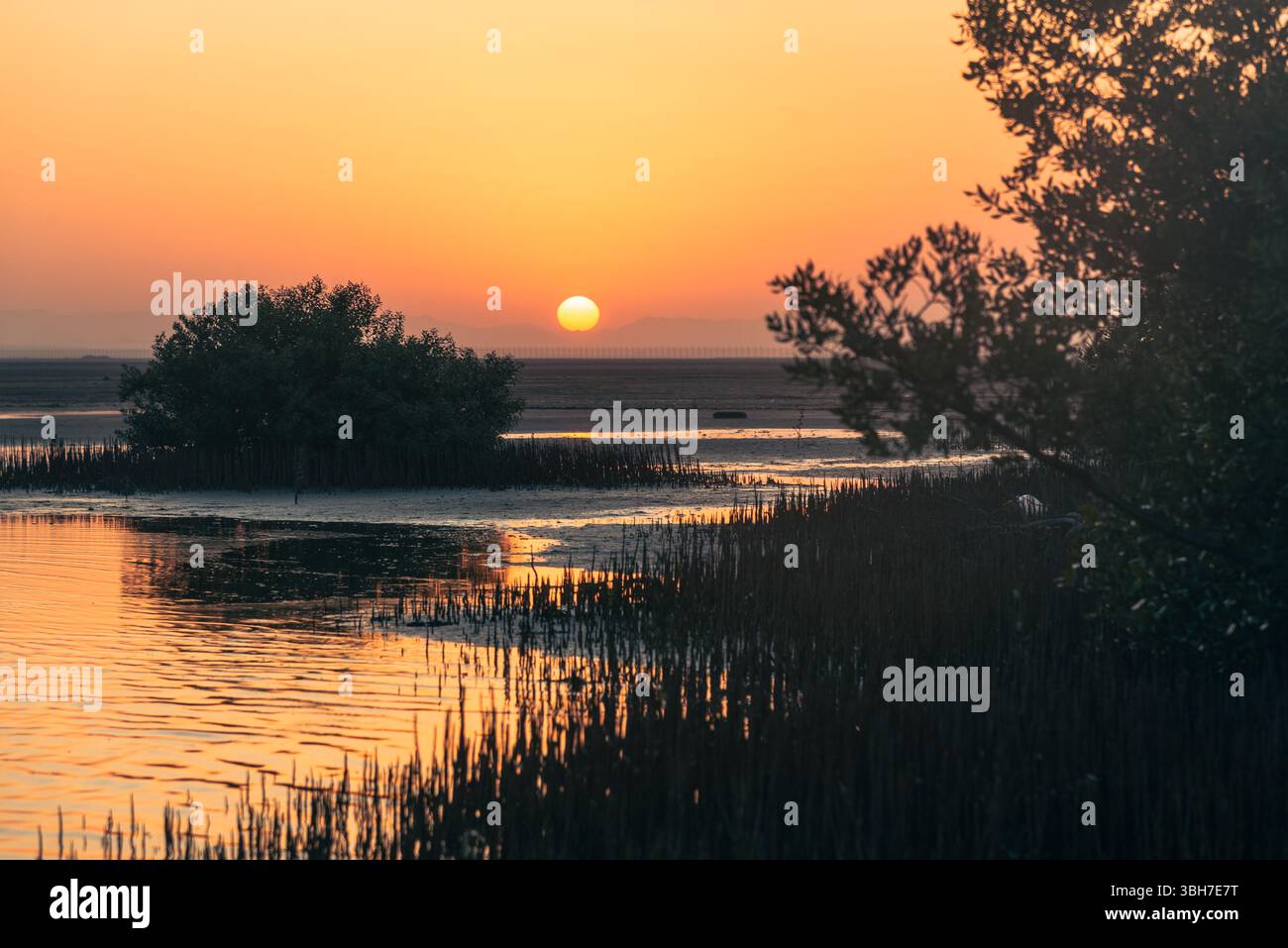 Al Rashed Beach Nature of beauty of Red sea shore of Saudi Arabia Stock Photo - Alamy