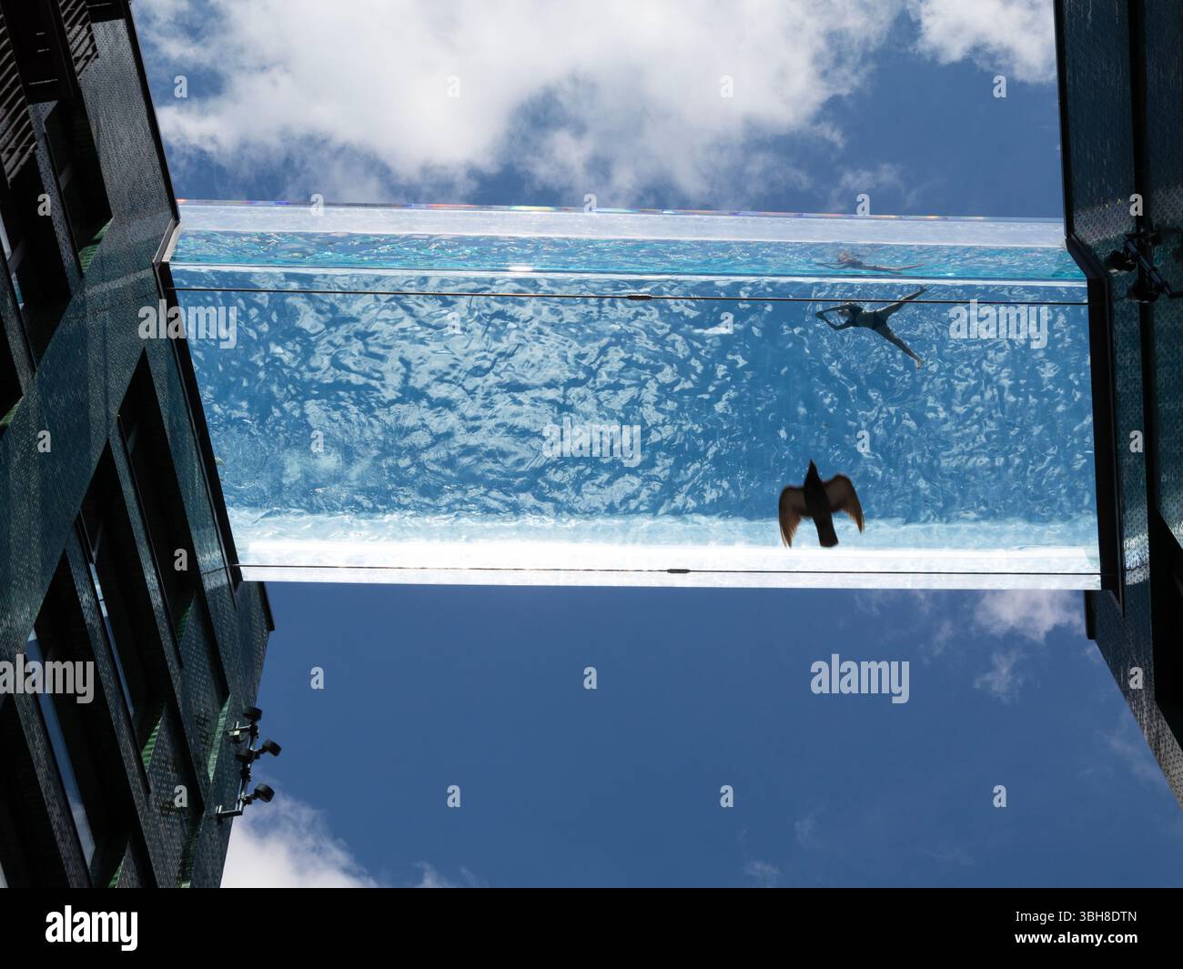 Bird flying underneath The Sky Pool at Embassy Gardens, London—a ...