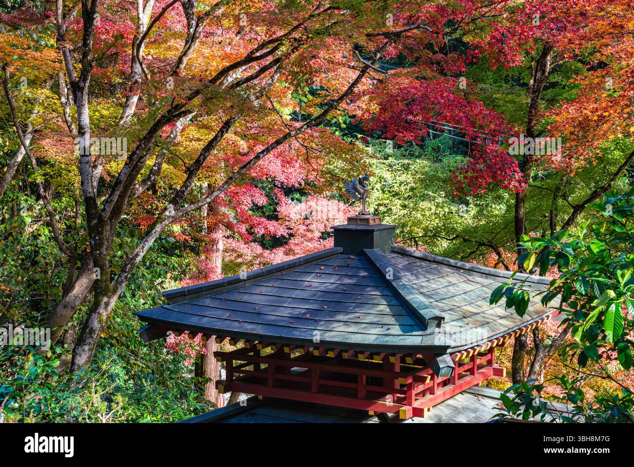 The marvelous Otagi Nenbutsu-ji Temple during fall season in Kyoto ...