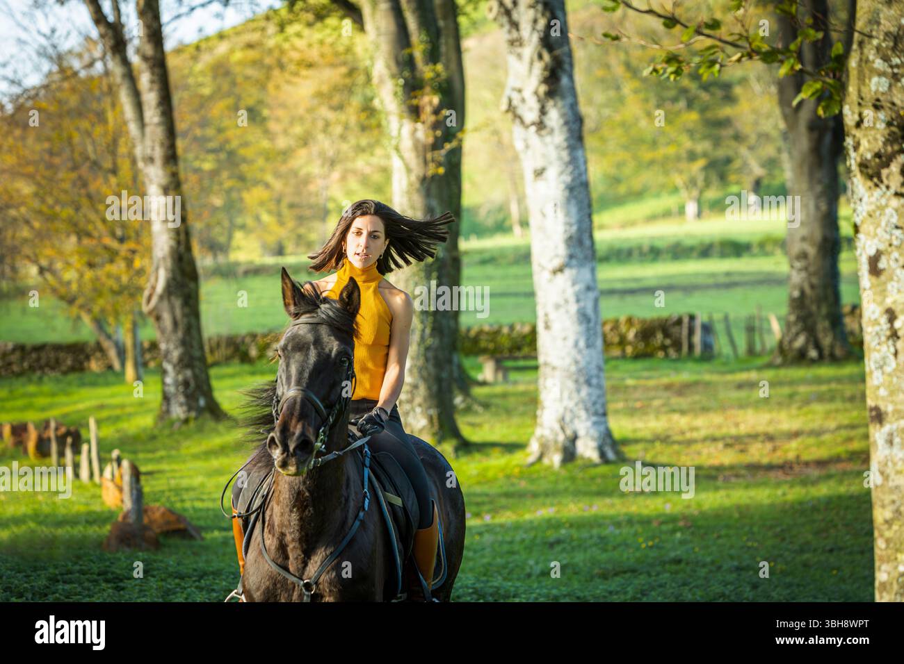 Grassyland hi-res stock photography and images - Alamy