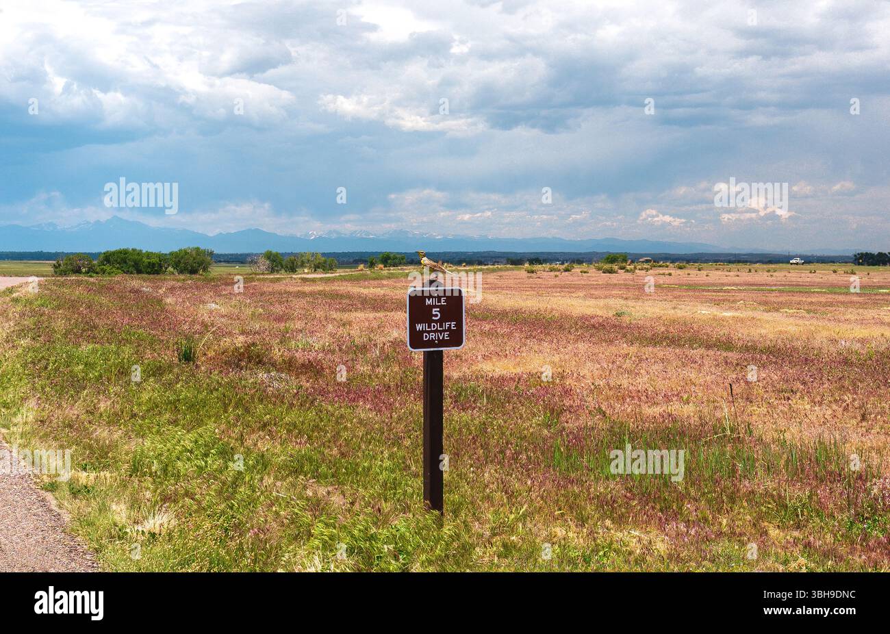 Wildlife Drive at Rocky Mountain Arsenal Wildlife Refuge along mile ...