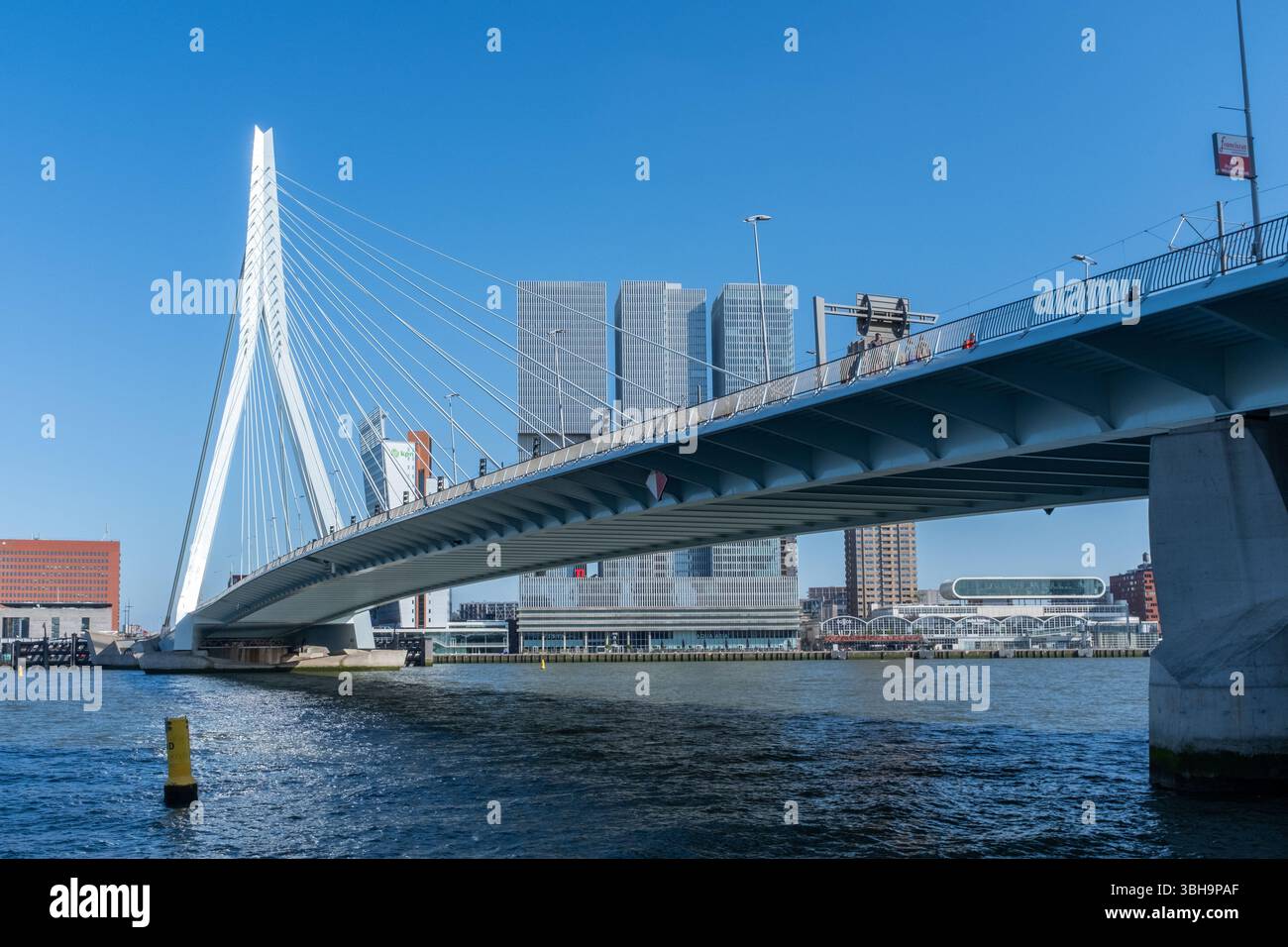 Erasmus Bridge aka Erasmusbrug, Rotterdam, The Netherlands Stock Photo ...