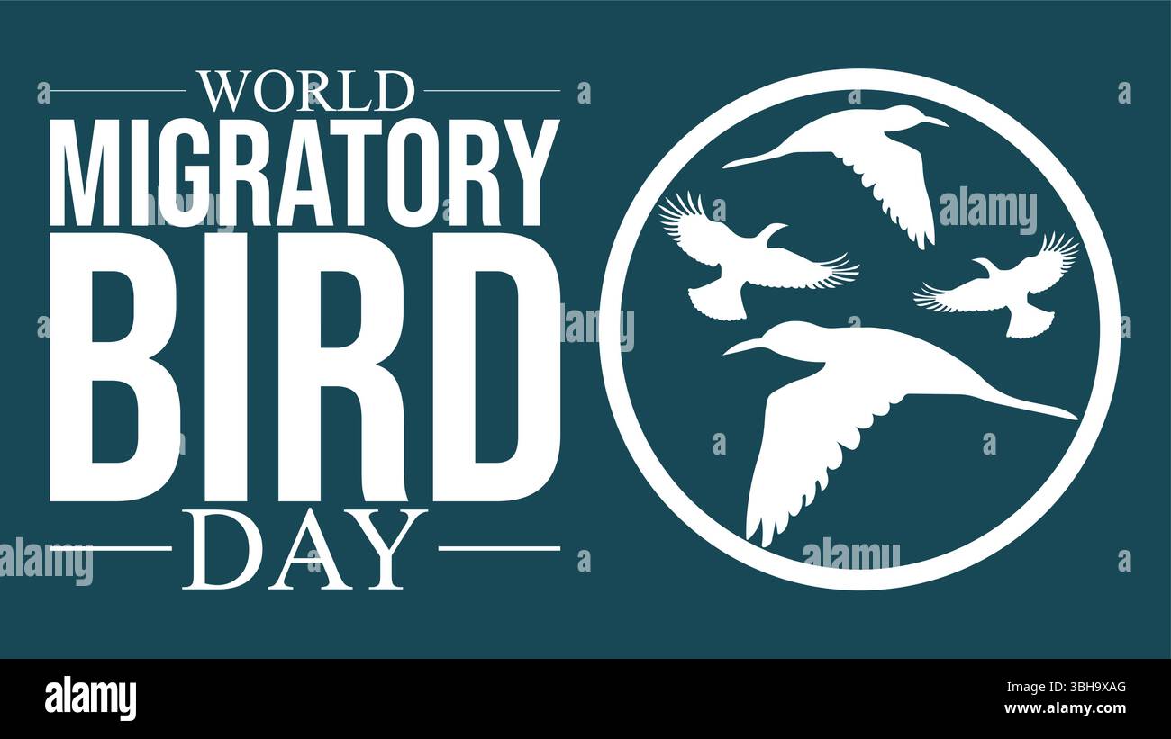 World Migratory Bird Day Awareness Template Stock Vector