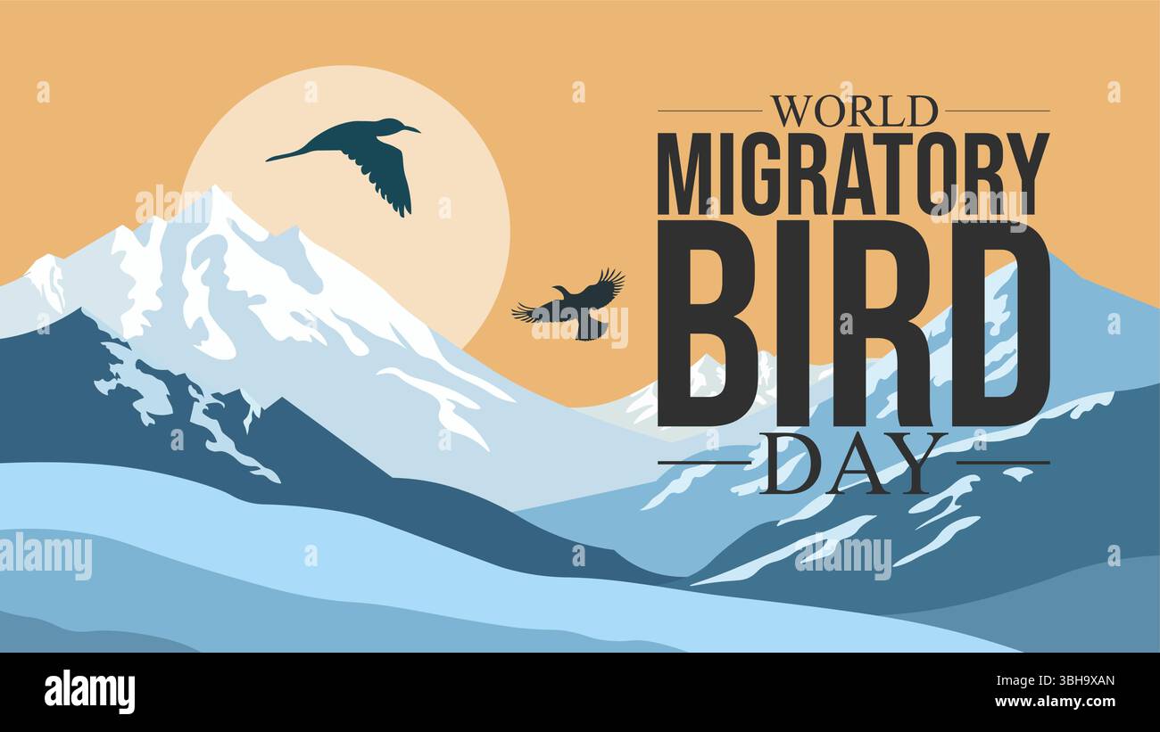 World Migratory Bird Day Awareness Template Stock Vector