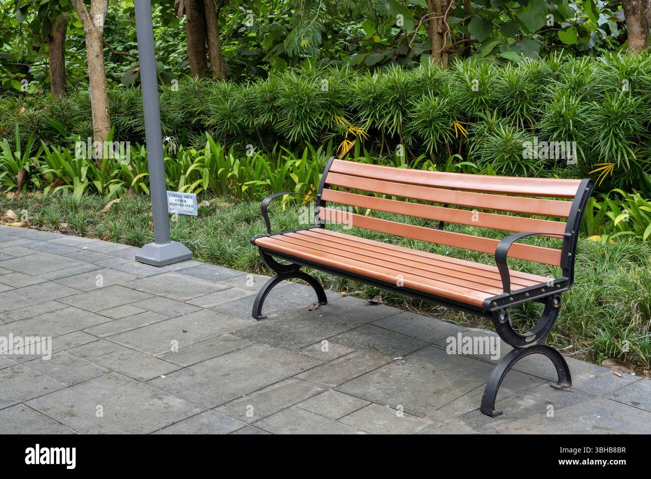 Wooden bench sits in front of a bush. The bench is empty and the bush ...