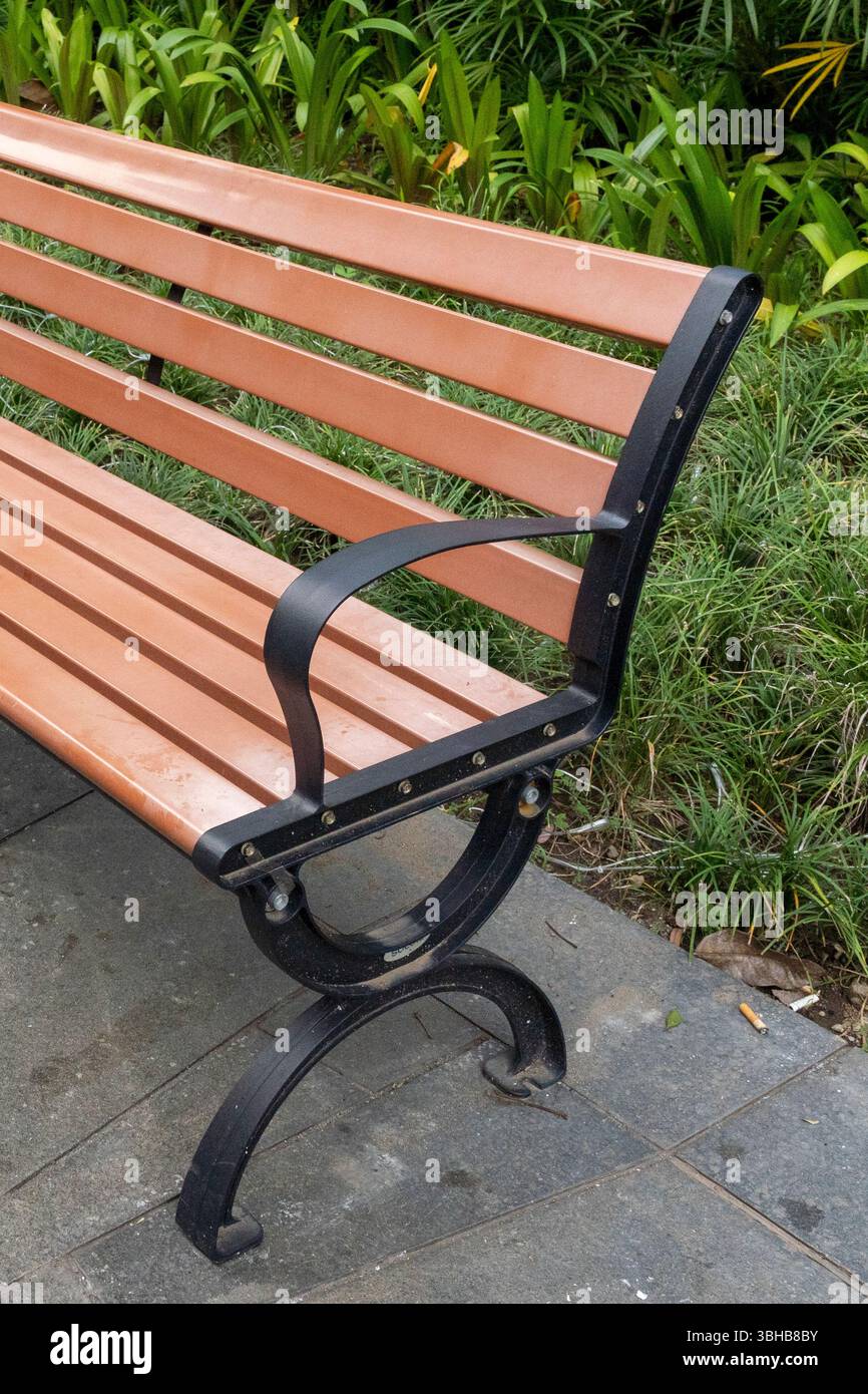 Wooden bench sits in front of a bush. The bench is empty and the bush ...