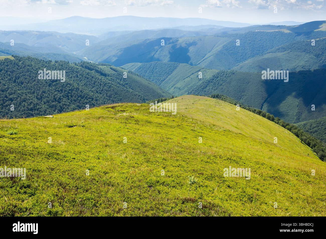 rolling scenery with grassy alpine meadow. smooth grassy highland. scenic carpathian mountain landscape of borzhava ridge. popular travel destination Stock Photo