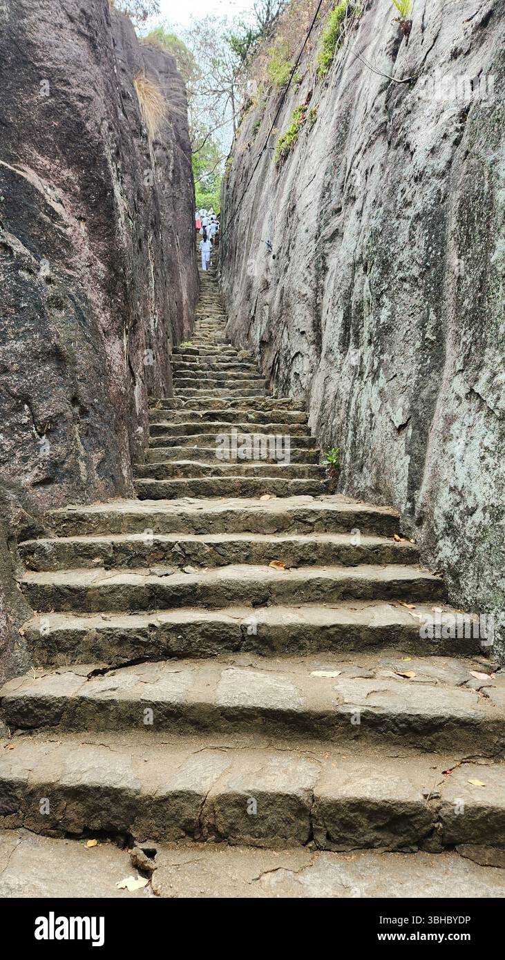 Ancient stone staircase between tall rock walls, leading up through a narrow historic path in sri lanka. - Smartphone Captured Stock Image