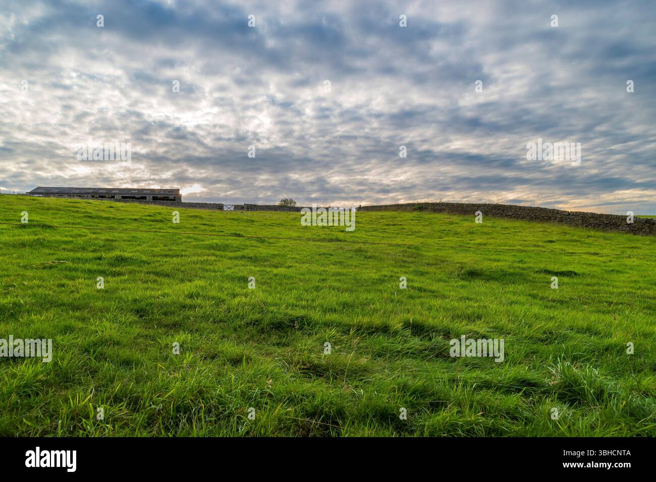 Fox hagg nature reserve hi-res stock photography and images - Alamy