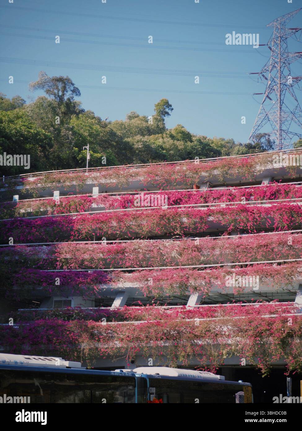 Flower-covered multi-level parking garage near Xianhu Botanical Garden in Shenzhen, China - Smartphone Captured Stock Image