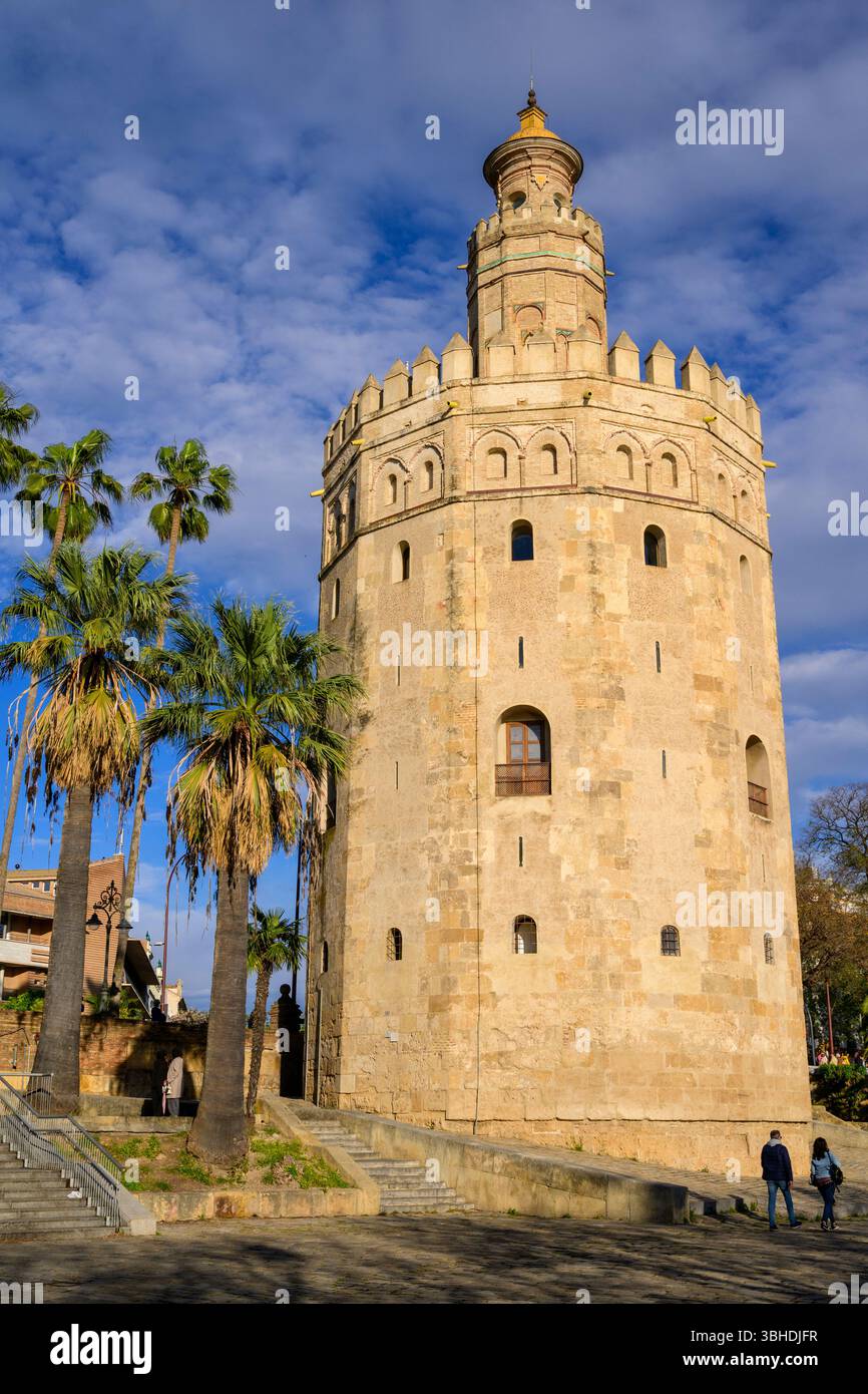 Schone Torre Del Oro Bilder