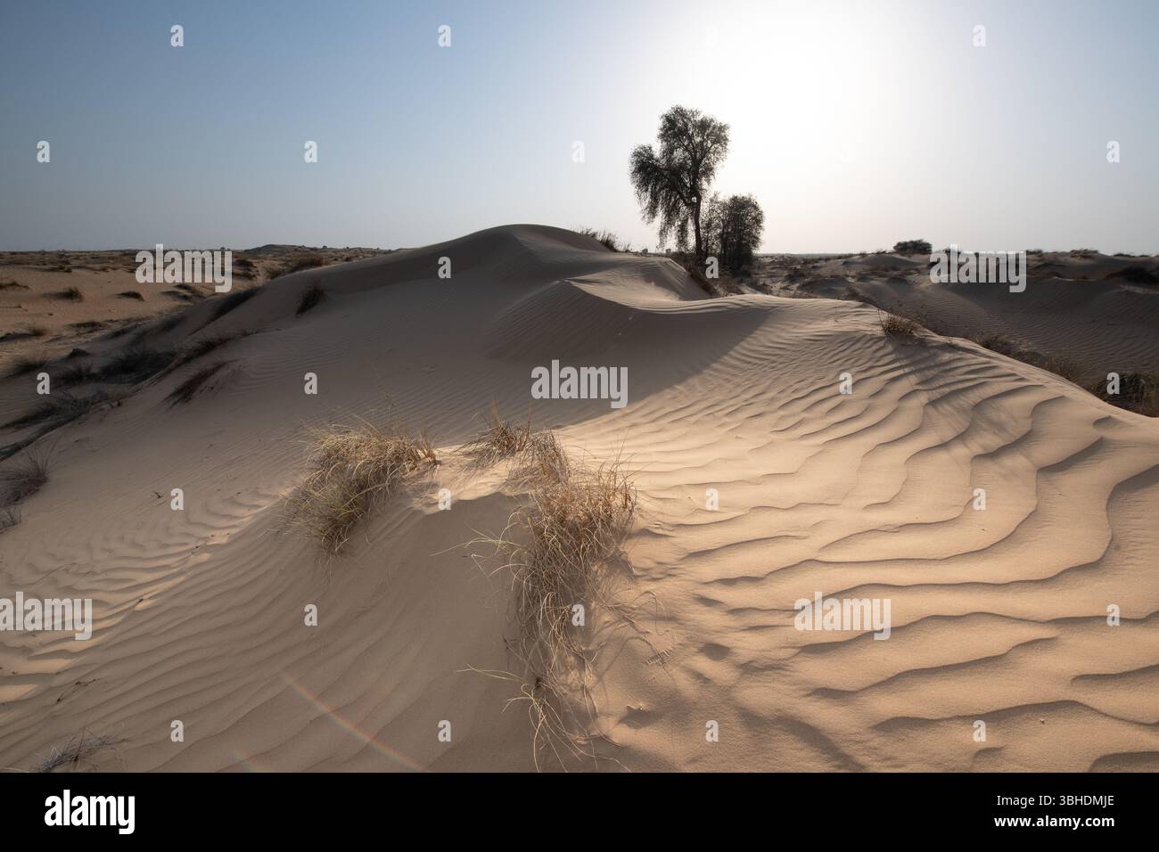 The hot desert landscape of Dubai in the UAE. Stock Photo
