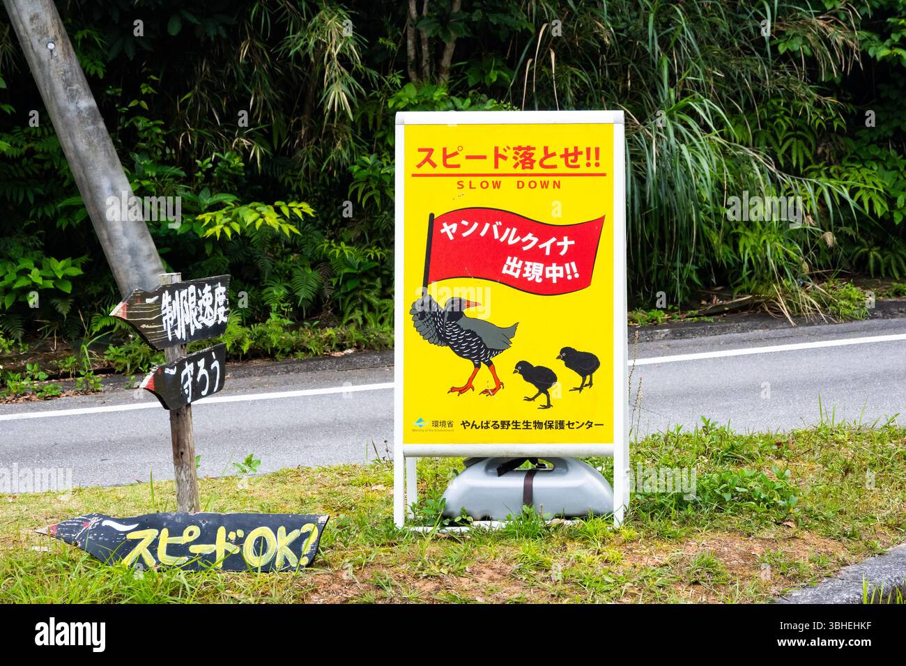 Sign reminding cars to slow down for Okinawa Rail (Gallirallus okinawae ...